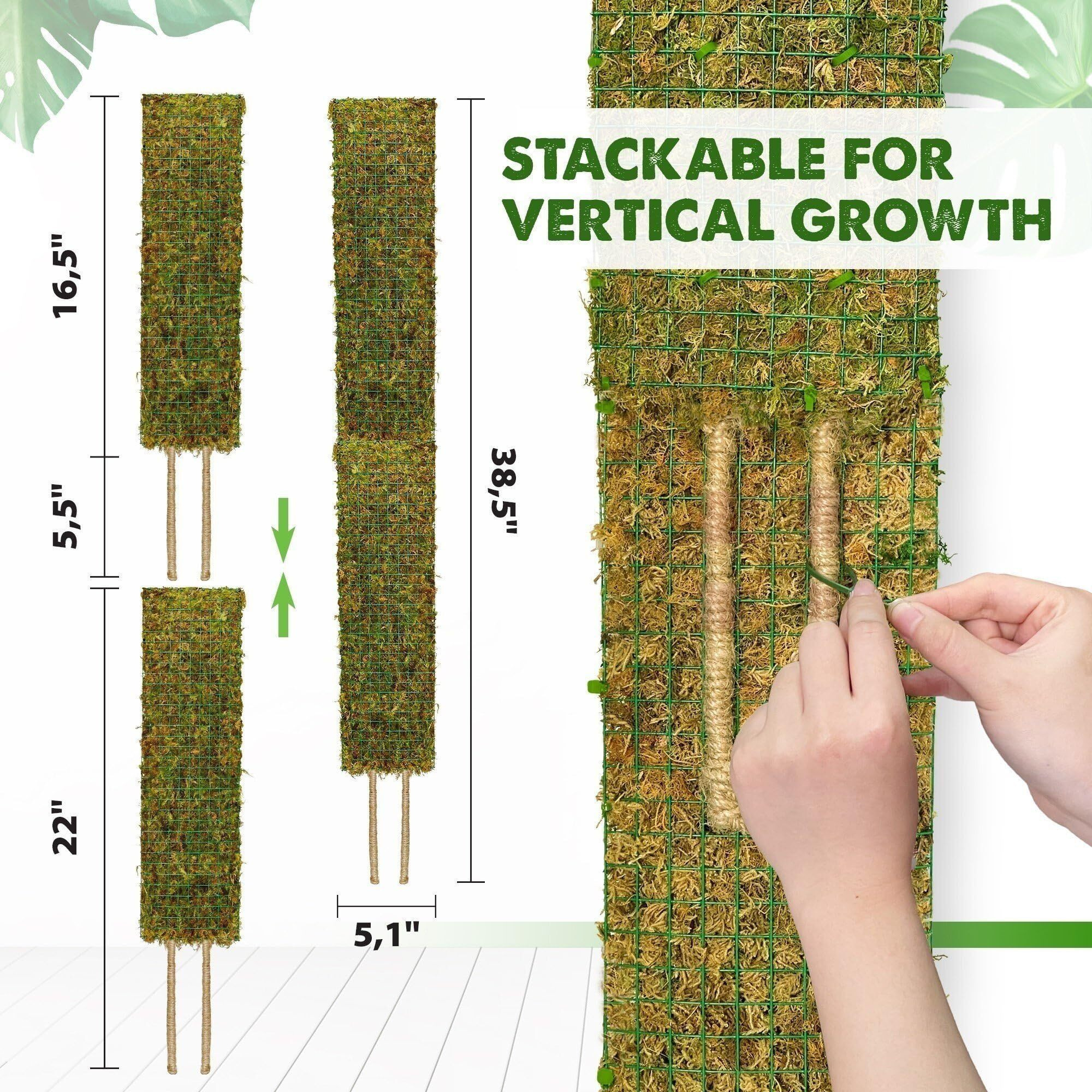 Duspro Flat Mesh Moss Poles For Climbing Plants Monstera Stackable Moss Pole For Plants With Real Moss Moss Plant Pole For Potted Plants Handmade Moss Stick For Indoor Plants Grow Upward 2 Pack 22
