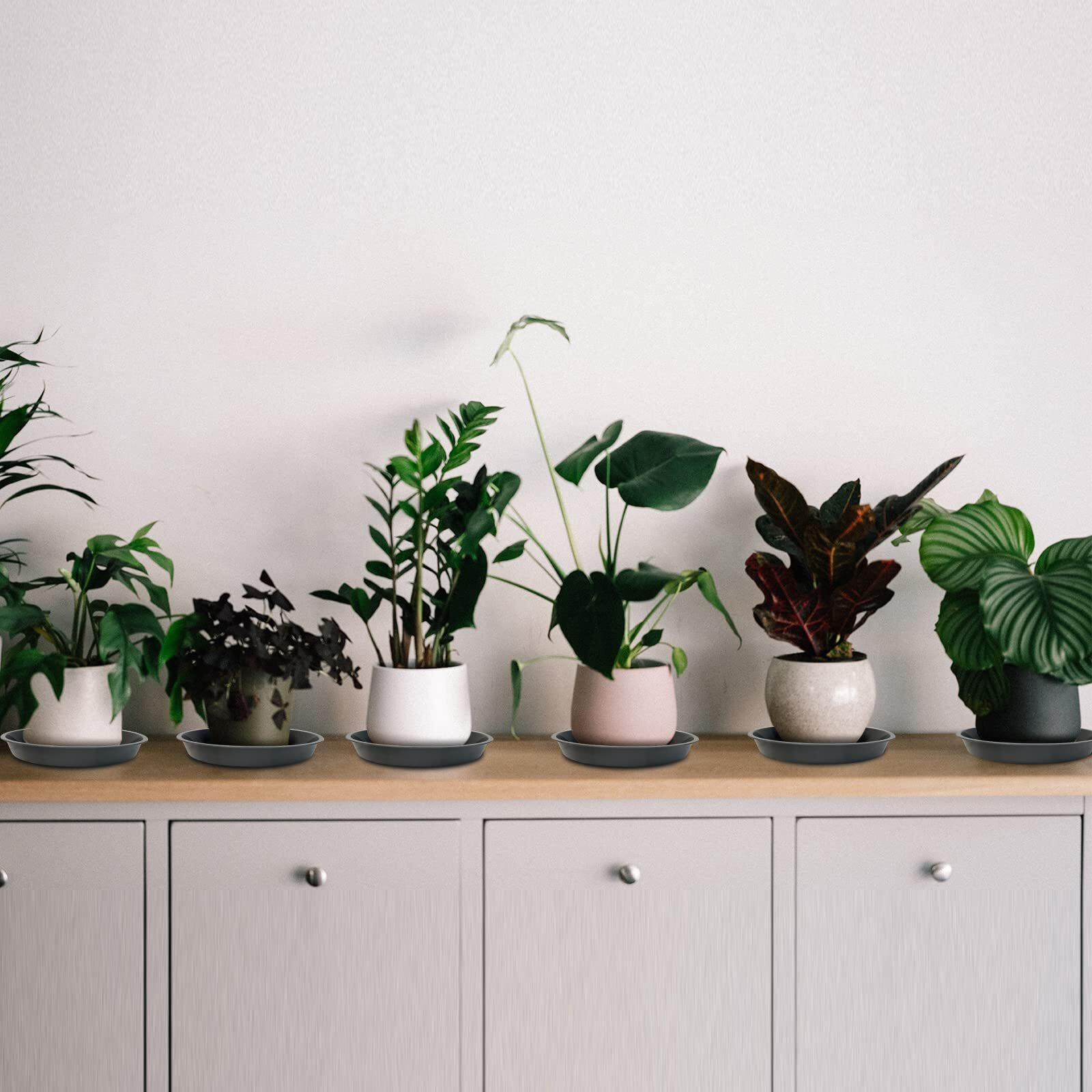 Dunpute 6 Pack Plant Saucer 4 6 8 10 12 14 16 18 20 22 Inch Plastic Plant Tray  Sturdy And Durable Flower Pot Container Accessories Plant Pot Saucers For Indoor And Outdoor (10 Inch  Gray)