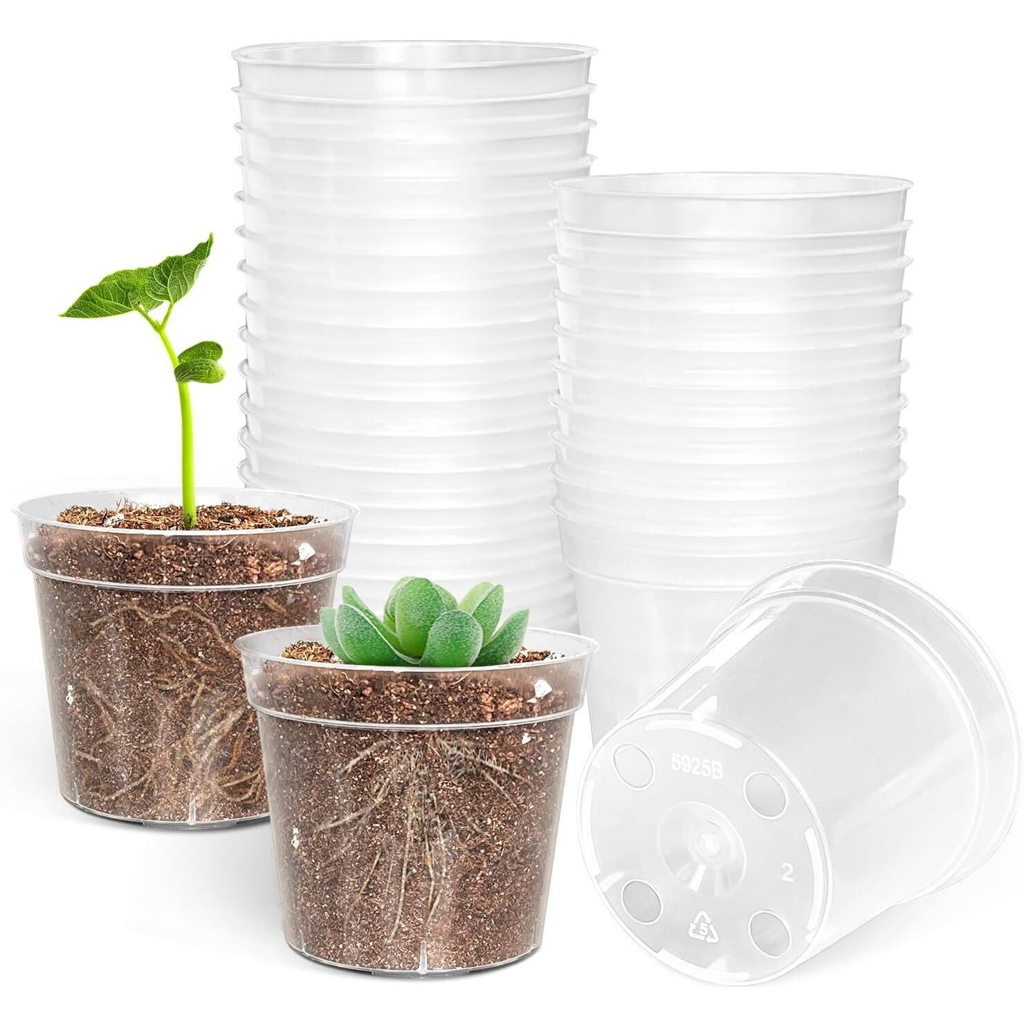 Btplastik 50 Pack 2.5 Inch Clear Nursery Pots For Plants  Sturdy Plastic Plant Pot For Planting Vegetables Flowers Seedlings  Transparent Seed Starter Pots With Drainage Holes(50P-2.5"" Clear)