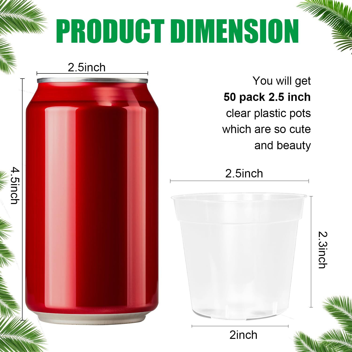 Btplastik 50 Pack 2.5 Inch Clear Nursery Pots For Plants  Sturdy Plastic Plant Pot For Planting Vegetables Flowers Seedlings  Transparent Seed Starter Pots With Drainage Holes(50P-2.5"" Clear)