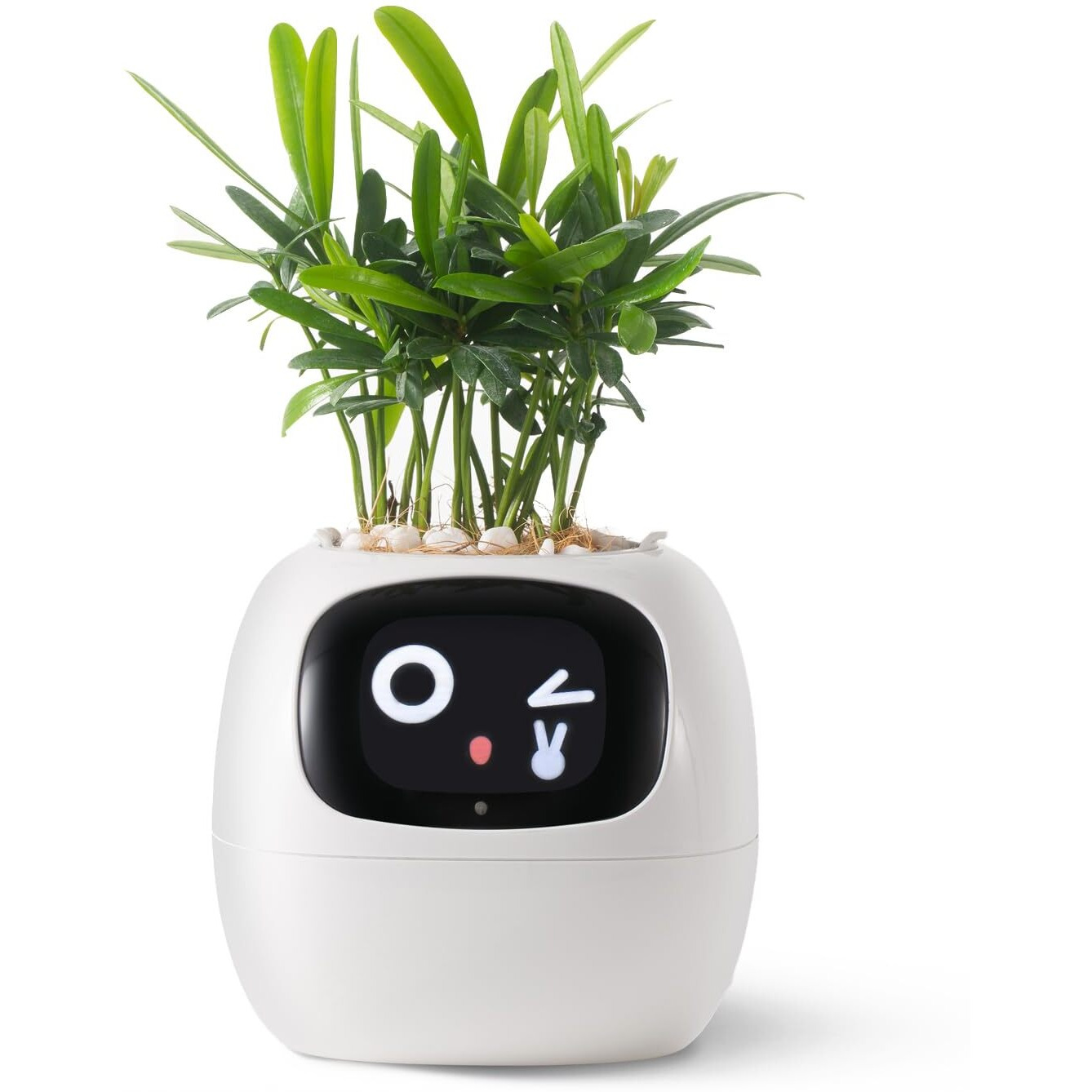 Plantsio Smart Pet Planter Robot Guidance On Plant Care With Emojis  Adorable Plant Companion With Rich Gesture Interaction  Neat Desk Setup Gift (White)