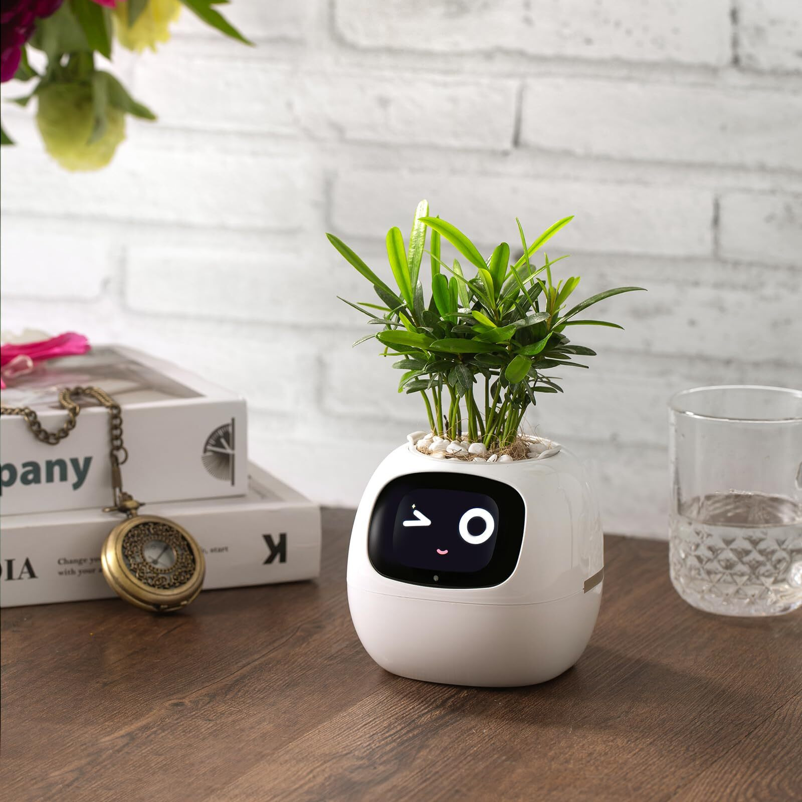 Plantsio Smart Pet Planter Robot Guidance On Plant Care With Emojis  Adorable Plant Companion With Rich Gesture Interaction  Neat Desk Setup Gift (White)
