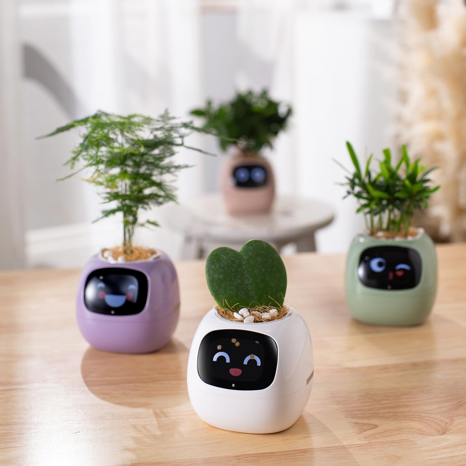 Plantsio Smart Pet Planter Robot Guidance On Plant Care With Emojis  Adorable Plant Companion With Rich Gesture Interaction  Neat Desk Setup Gift (White)