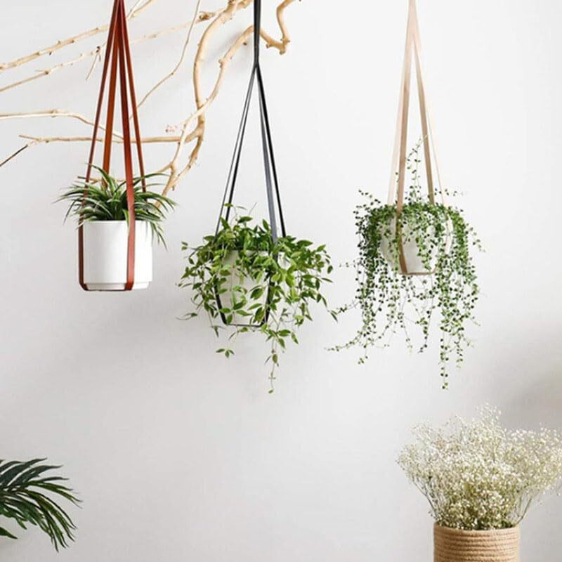 Sdjdhej Plant Hangers Pu Leather 2Pcs Hanging Planters For Indoor And Outdoor For Wall Decor  Modern Minimalist Home Decoration For Plants Lovers Leather Rope (Plant And Pot Not Included) (Coffee)