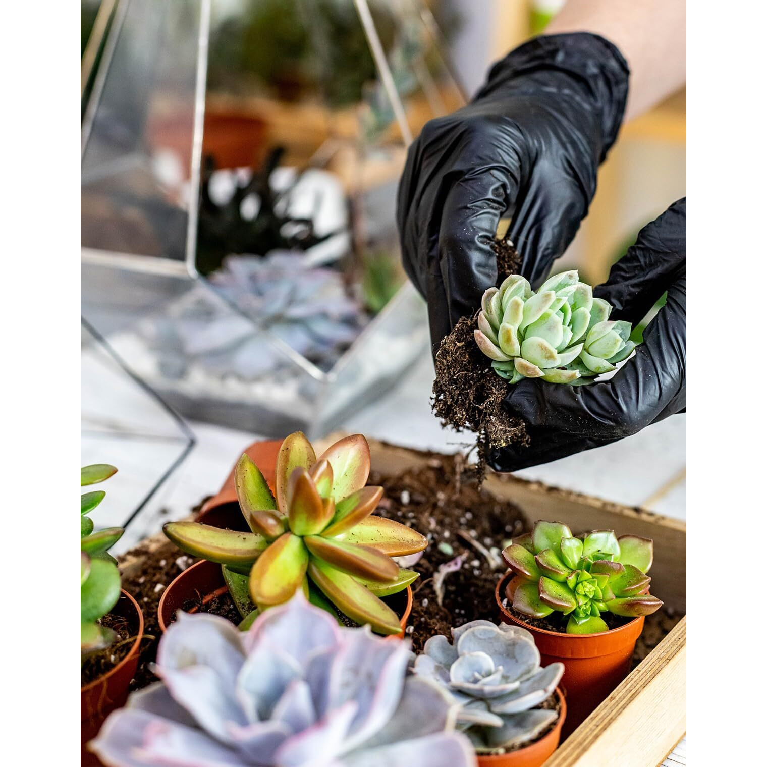 Melphoe 25Pcs Mini Garden Hand Transplanting Succulent Tools Set  39.4"" Thickened Repotting Mat & Plant Tag  Miniature Planting Indoor Fairy Care  Potting  Cactus  Houseplant Bonsai Tool Kit (Black)