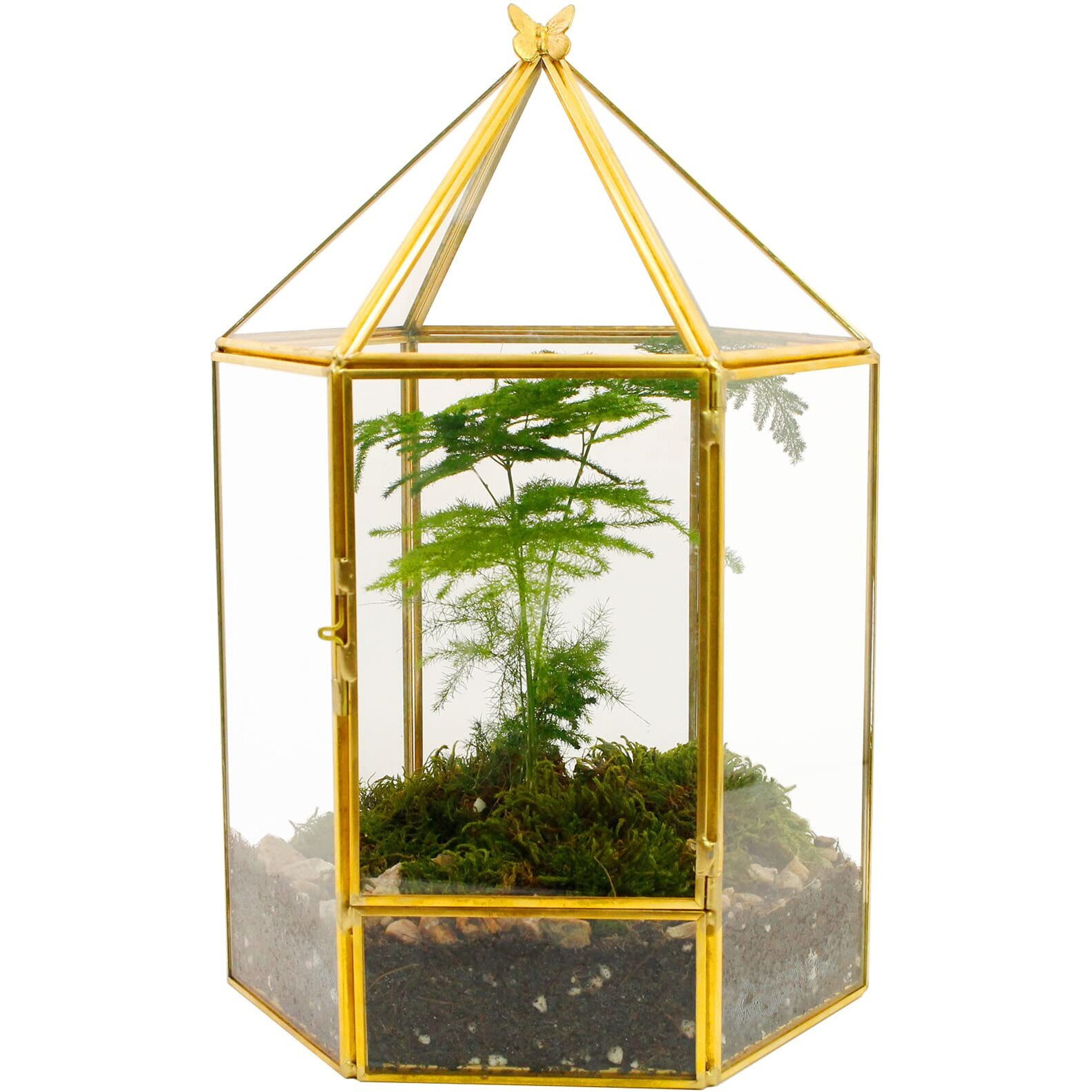 Elegantlife Glass Geometric Plant Terrarium Succulent & Air Planter For Home Garden Office Decoration No Plants(Gold Hexagonal)