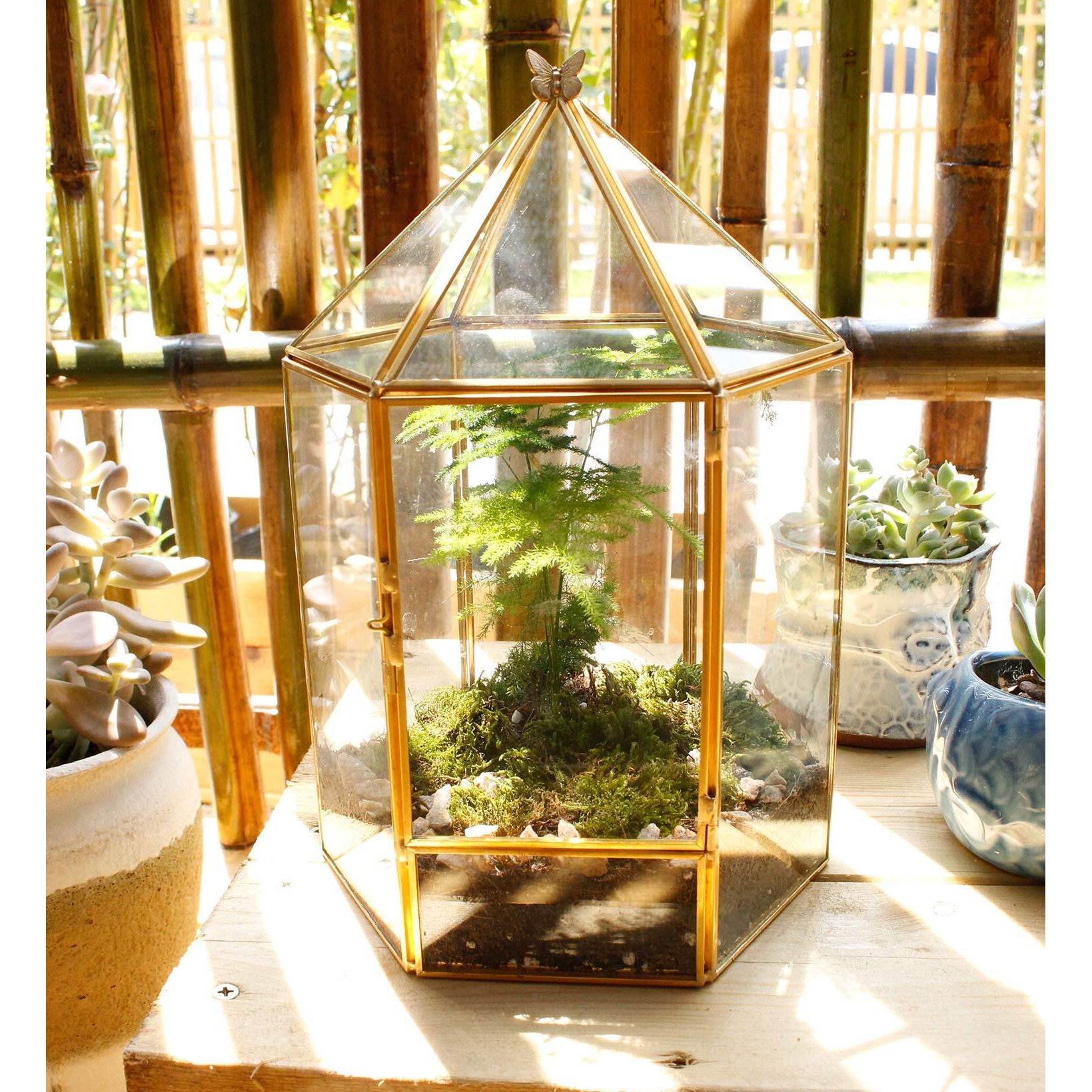 Elegantlife Glass Geometric Plant Terrarium Succulent & Air Planter For Home Garden Office Decoration No Plants(Gold Hexagonal)