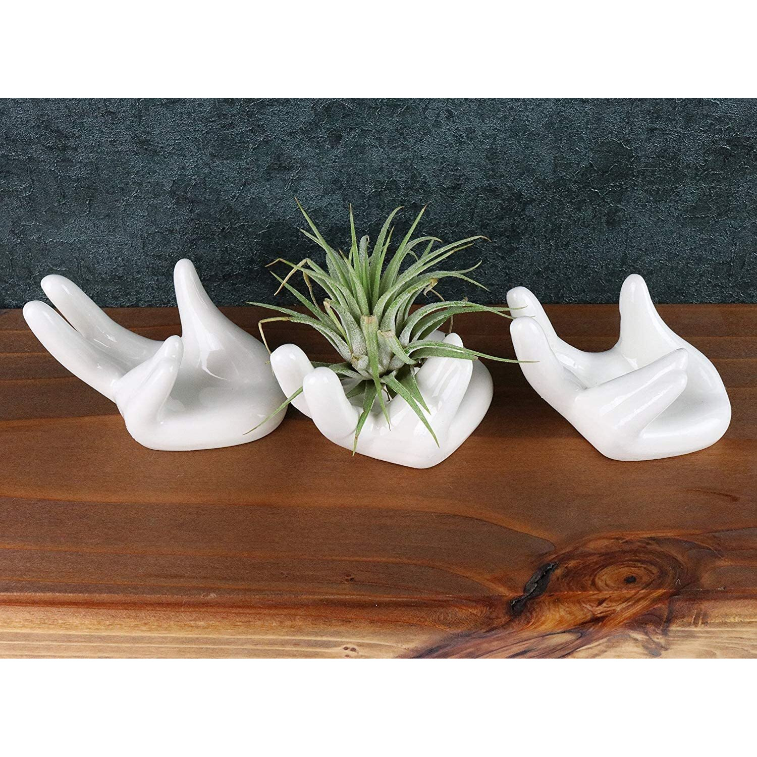 4 Pack Air Plant Holders Unique Ceramic Mini Airplants Stand Tillandsia Succulent Display Container Pot Cute Home Decor For Desk Table Shelf Window  White