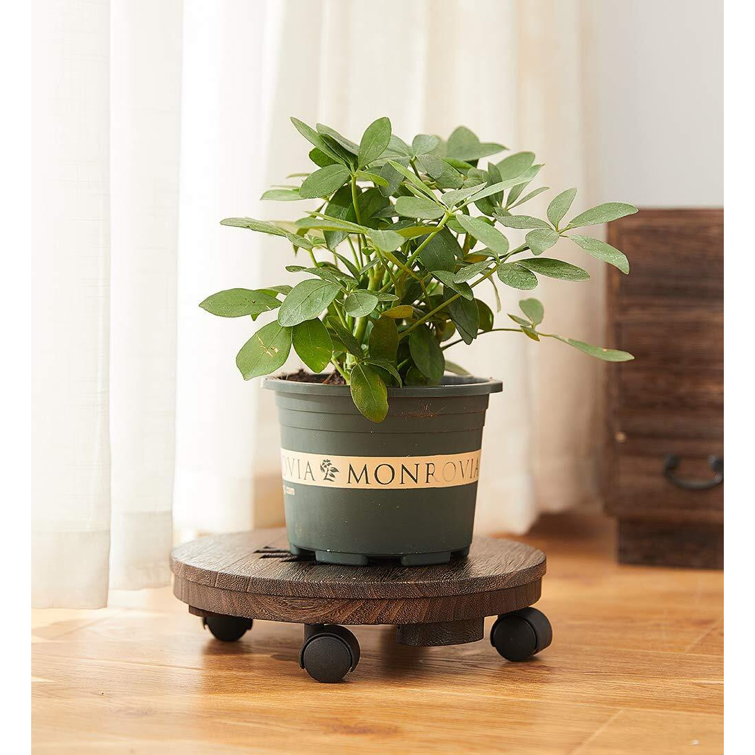 Sinobest Wood Plant Caddy  Heavy Duty Rolling Planter Dolly With Rotating Casters  Movable Flower Pot Stand  Round Plant Rack With Lockable Wheels Heavy Objects Hauling (13 Inch)