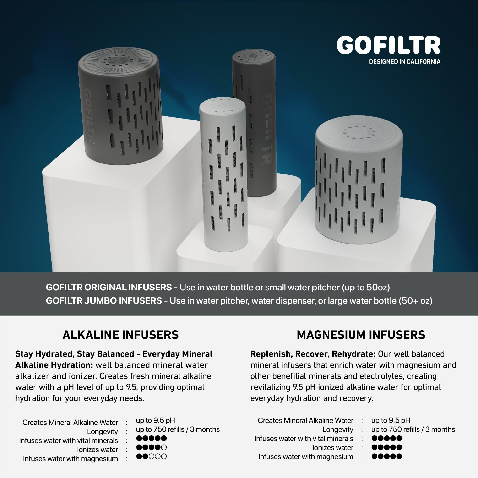 Gofiltr Magnesium Alkaline Water Infuser - 9.5 Ph + Electrolytes For Any Water Bottle/Small Pitcher  750 Refills / 3 Months  Ionized Mineral Water Infuser (Original 1 Pack)