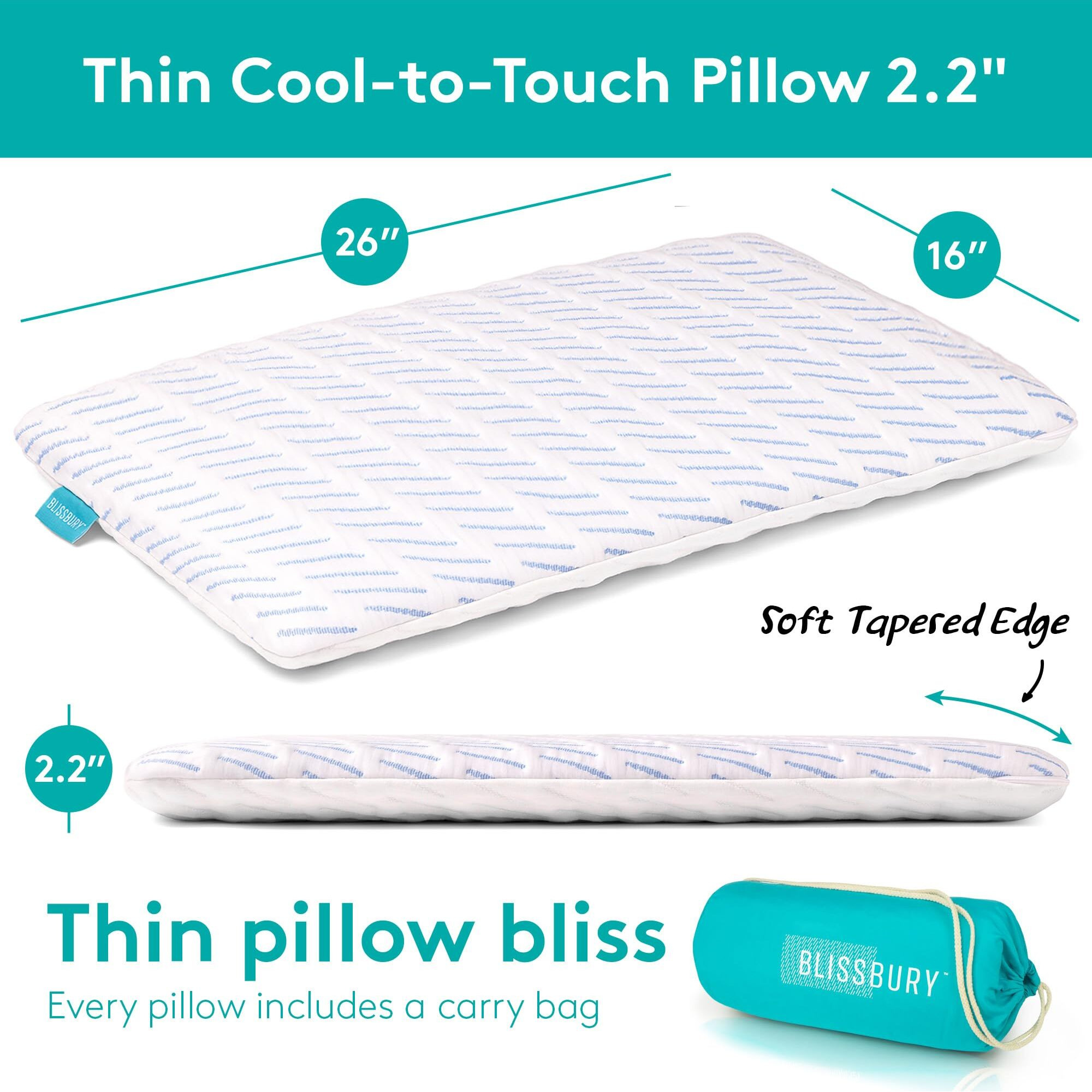 Blissbury 2.2 Inch Super Thin Pillow For Sleeping | Premium Memory Foam Flat Pillow For Stomach Sleeper | For Back & Stomach Sleeper | Certified Foam For Neck And Back Support | Removable Pillow Case