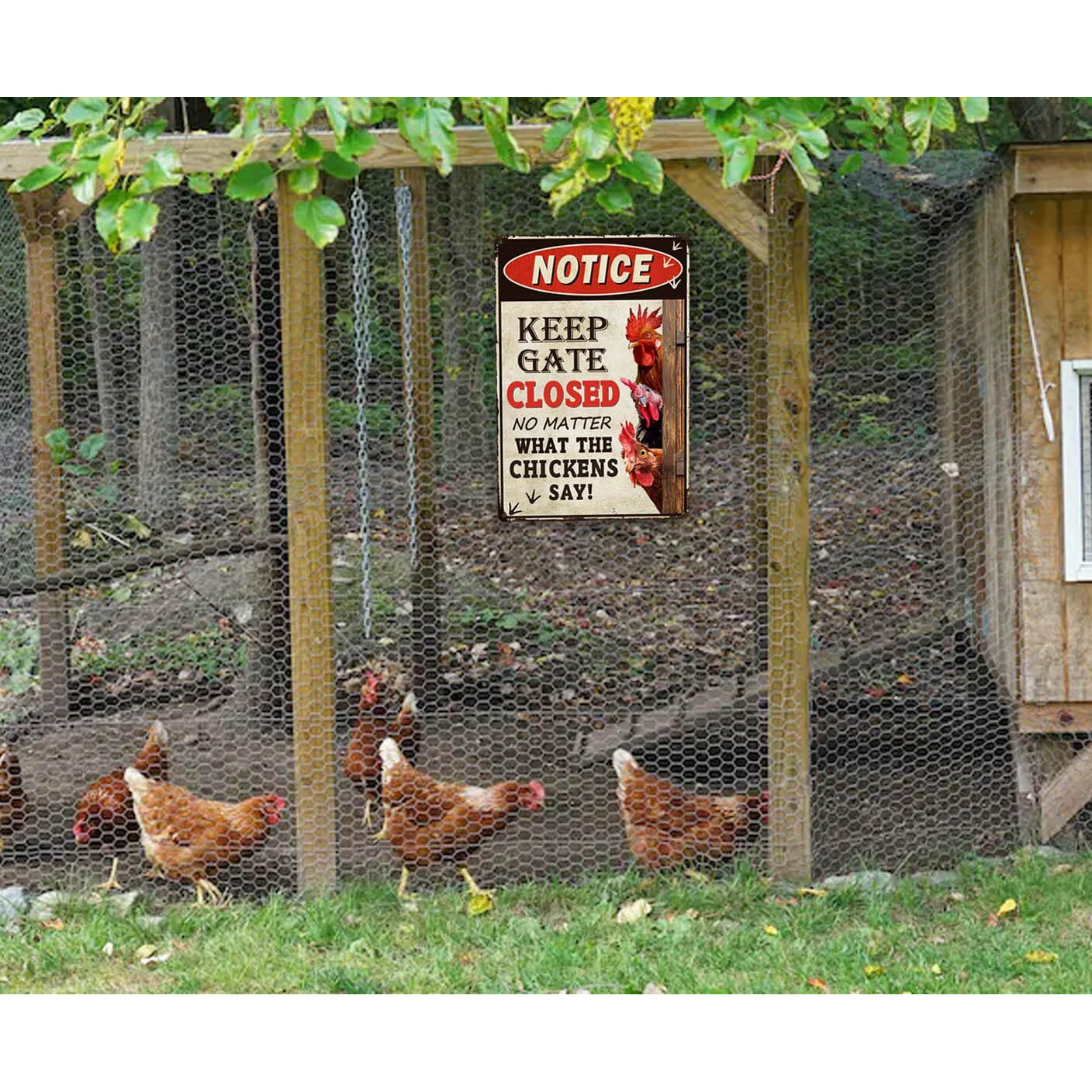 Bestylez Keep Gate Closed Sign Funny Chicken Coop Warning Sign Outdoor Chicken Decor 12"" * 8"" (261)