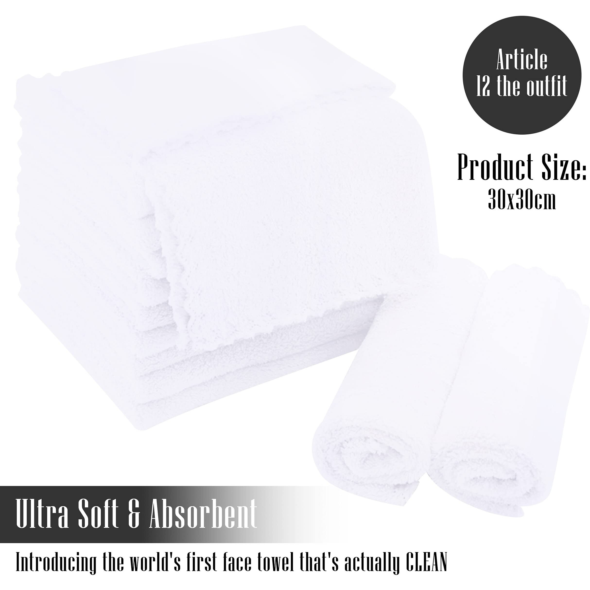 Tenstars 12 Pack Premium Washcloths Set - Quick Drying- Soft Microfiber Coral Velvet Highly Absorbent Wash Clothes - Multipurpose Use As Bath  Spa  Facial  Fingertip Towel (White)