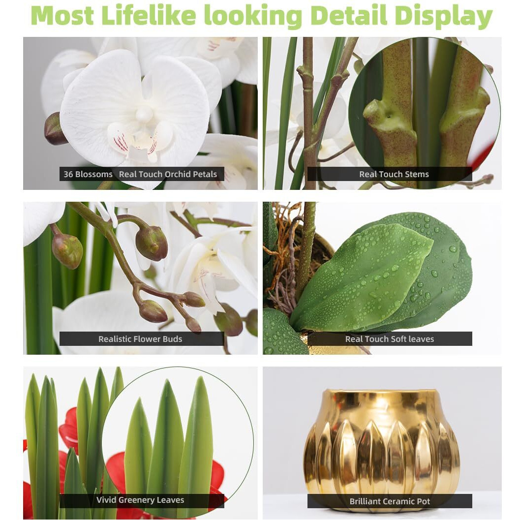 Cxgs Artificial Orchid Flower Real Touch Faux Orchids In Ceramic Vase Large 22.9'' Fake Flowers White Phalaenopsis Floral For Home Indoor Decor