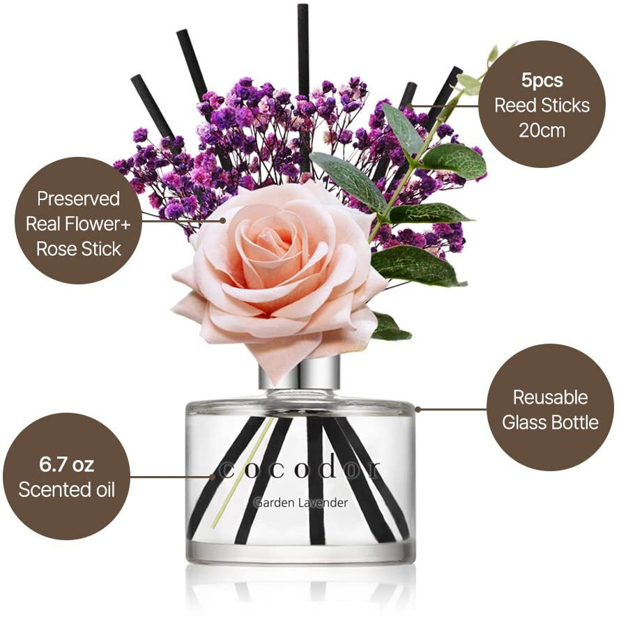 Cocodor Rose Flower Reed Diffuser/Lovely Peony/6.7Oz(200Ml)/1 Pack/Reed Diffuser  Reed Diffuser Set  Oil Diffuser & Reed Diffuser Sticks  Home Decor & Office Decor  Fragrance And Gifts