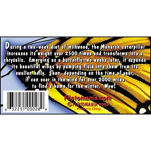 Fliptomania Caterpillar To Monarch Butterfly Metamorphosis Flipbook