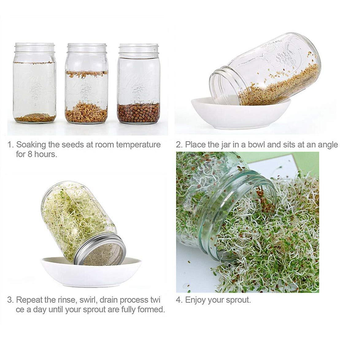 Sprouting Lids 316 Stainless Steel Mesh Lid Sprouting Strainer Lids Kit For Wide Mouth Mason Jars Canning Jar Lids Growing Alfalfa Sprout Seeds Salad Sprouts Lids 4 Pack