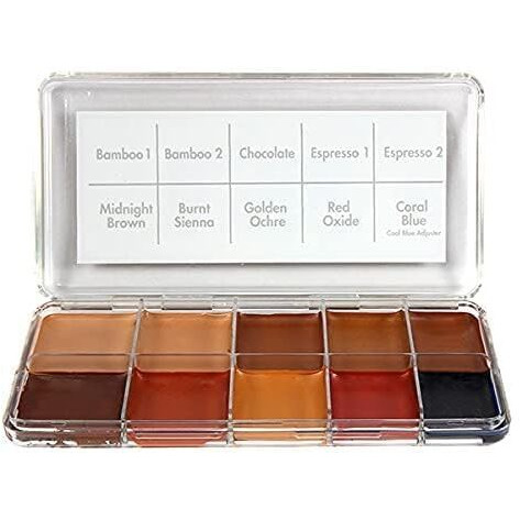 Ppi Skin Illustrator Dark Fleshtone Makeup Palette Profession Stage Makeup