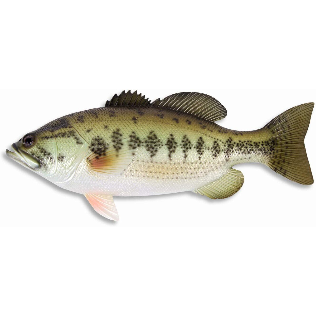 Lx Handpainted Large Mouth Bass Wall Mount Decor Plaque Game Fish Replica 18""