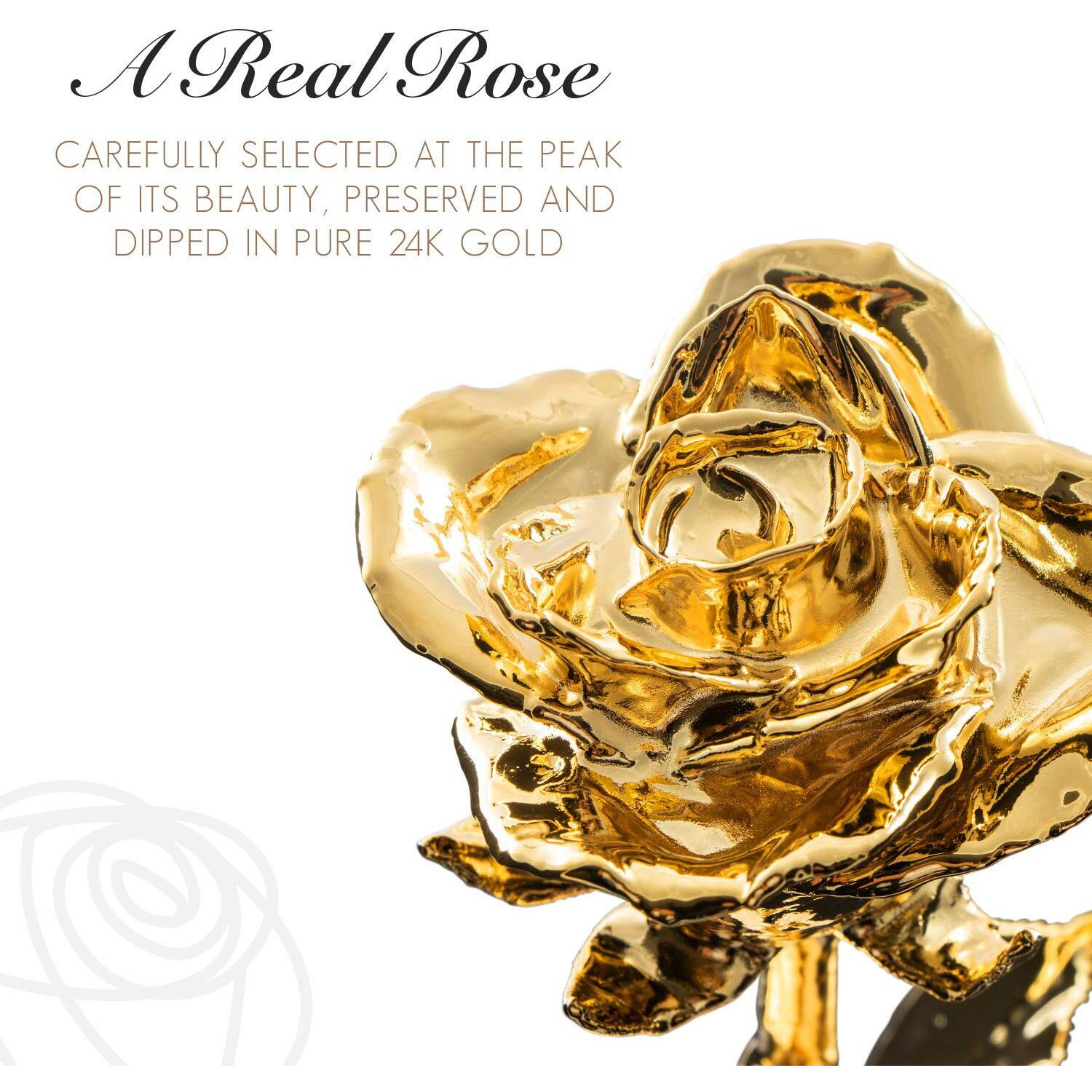 Forever Rose Real 24K Gold Rose  Genuine One Of A Kind Rose Hand Dipped In 24K Gold Roses To Last A Lifetime