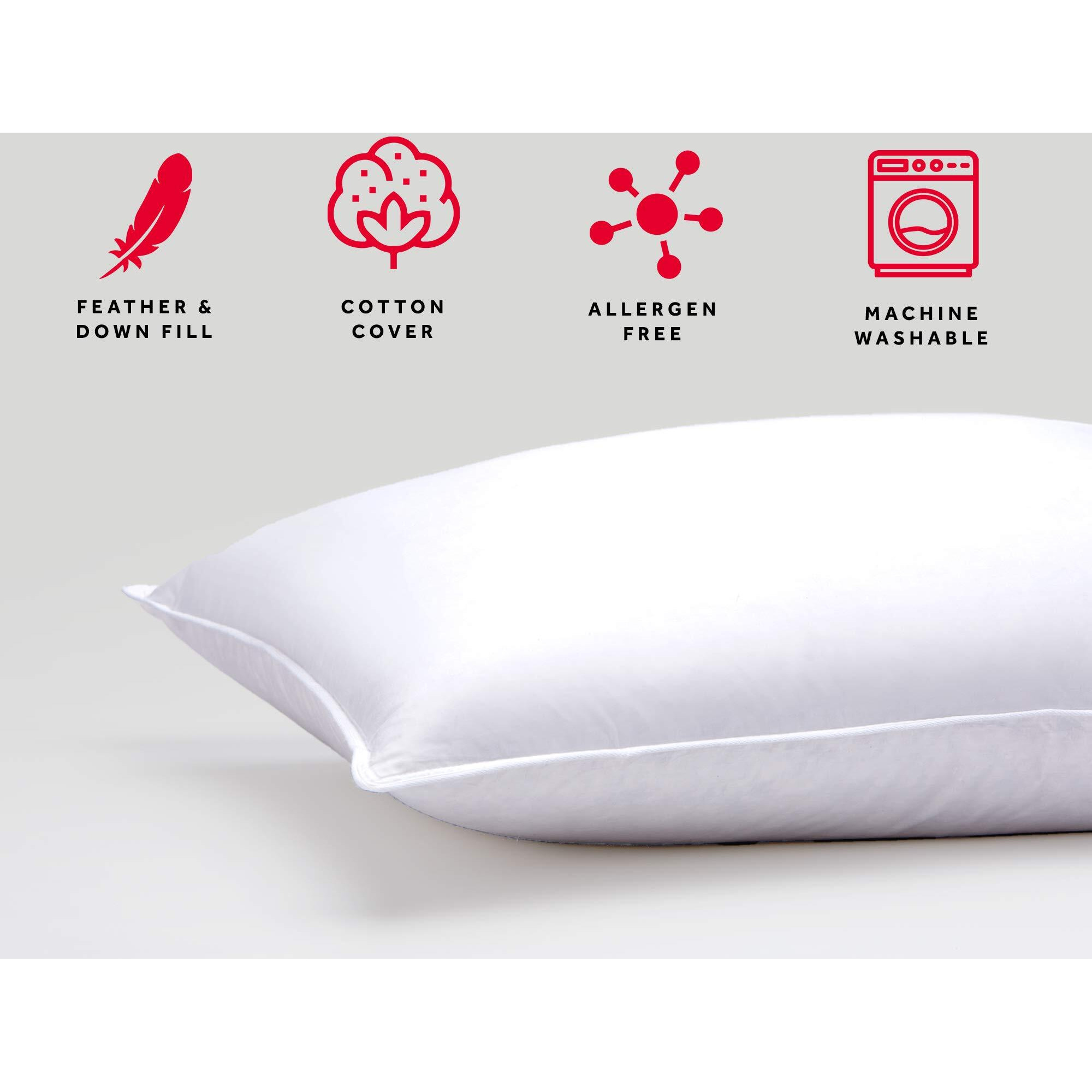 Marriott Feather & Down Pillow - Dual Chamber Pillow Feather And Down Pillow (Standard)