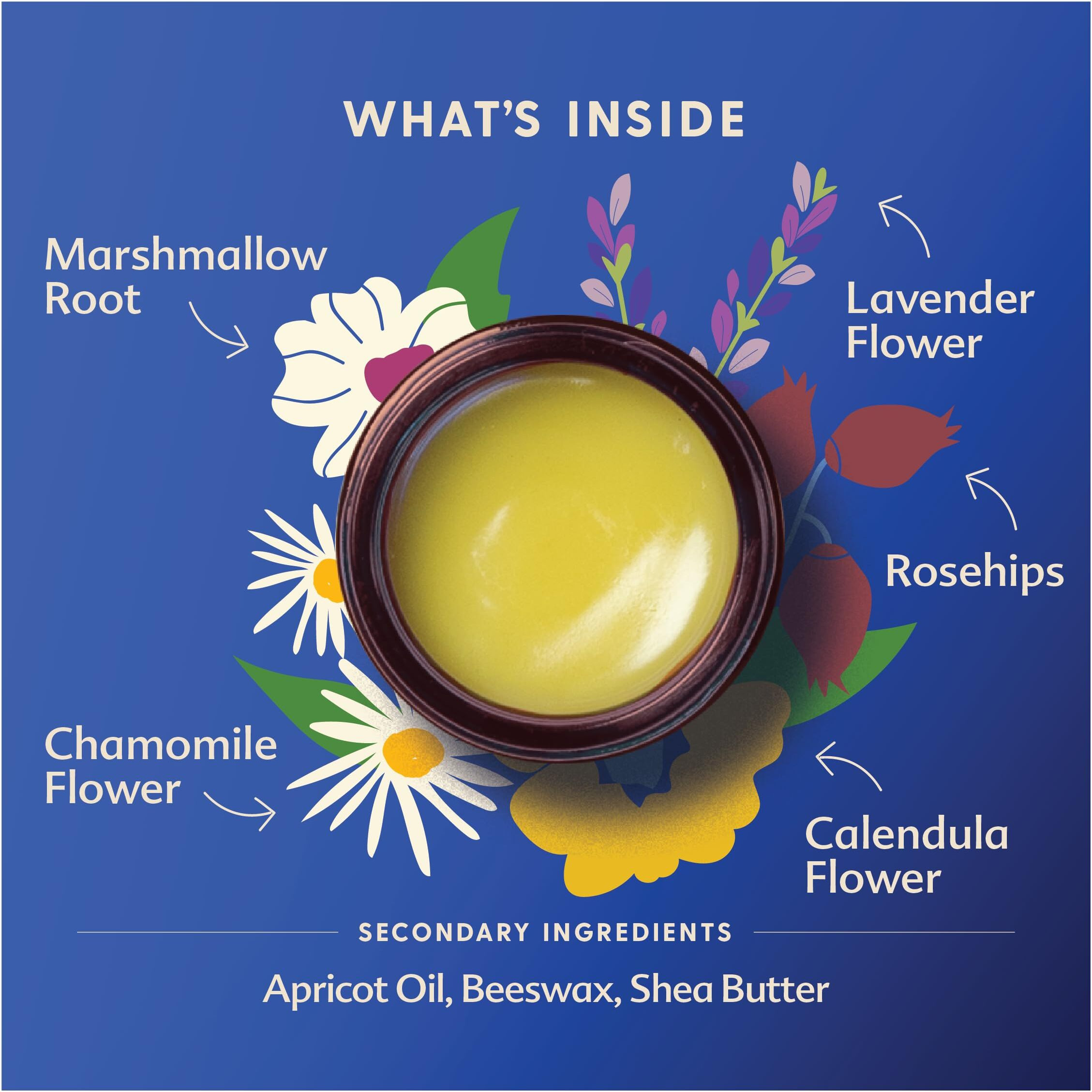 Motherlove Pregnant Belly Salve (4 Oz) Moisturizing Balm To Use On Growing Belly-Non-Gmo & Organic Herbs