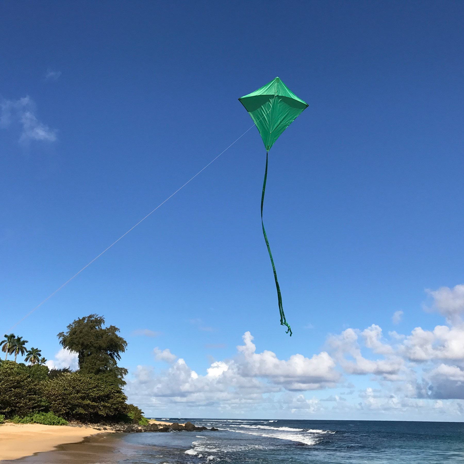 In The Breeze Green Diamond Kite  30-Inch