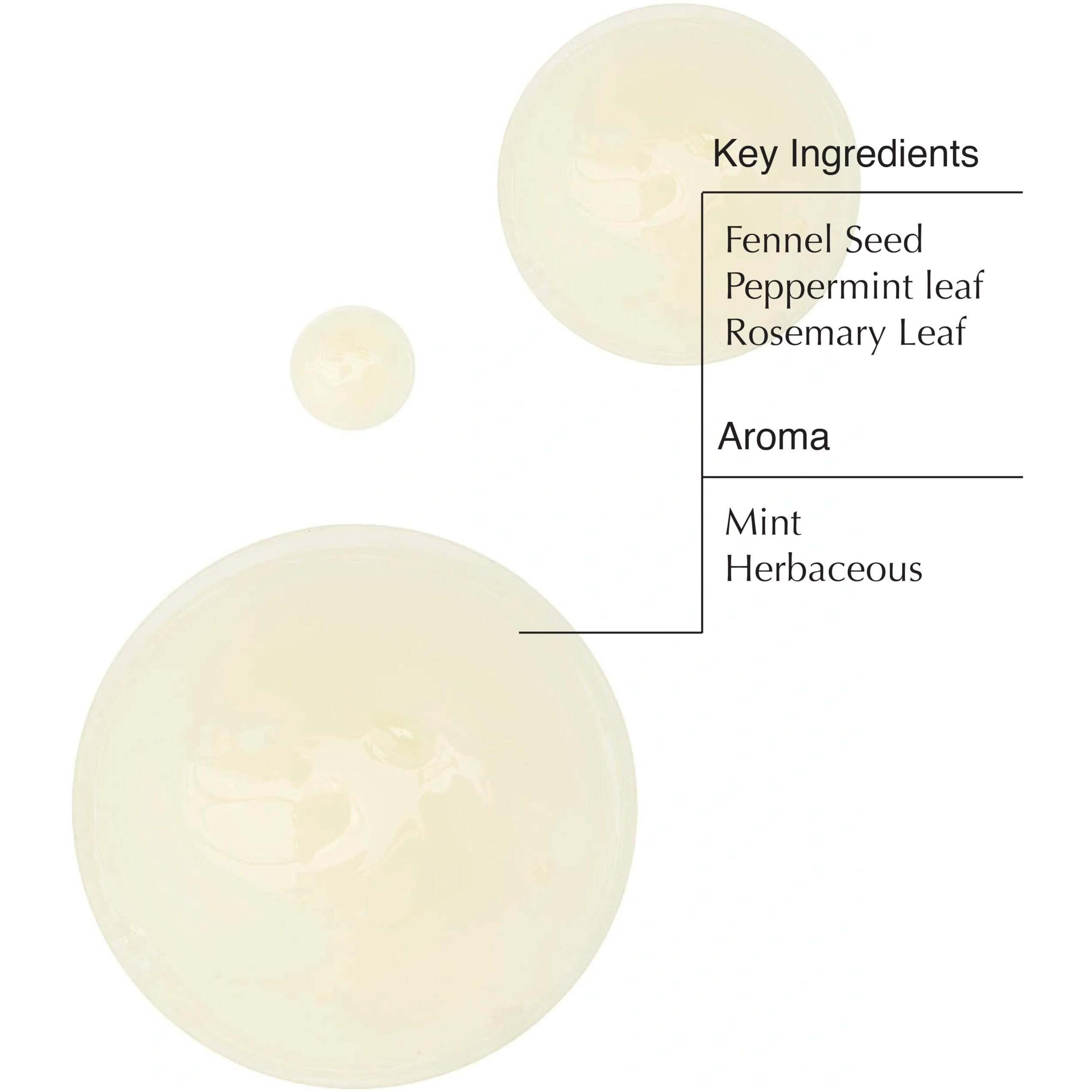 Aesop Volumizing Shampoo | Lifting Formulation For Volume And Body | Boosted With Polyquaternium 67 | 16.9 Oz