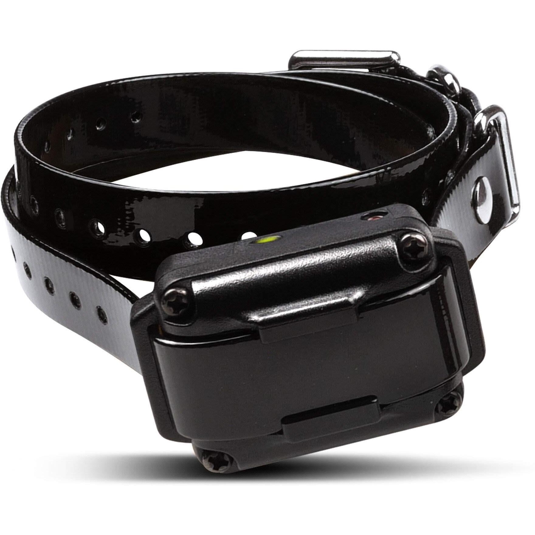 Dogtra Iq Plus Rechargeable Waterproof 400-Yard Remote Dog Training E-Collar