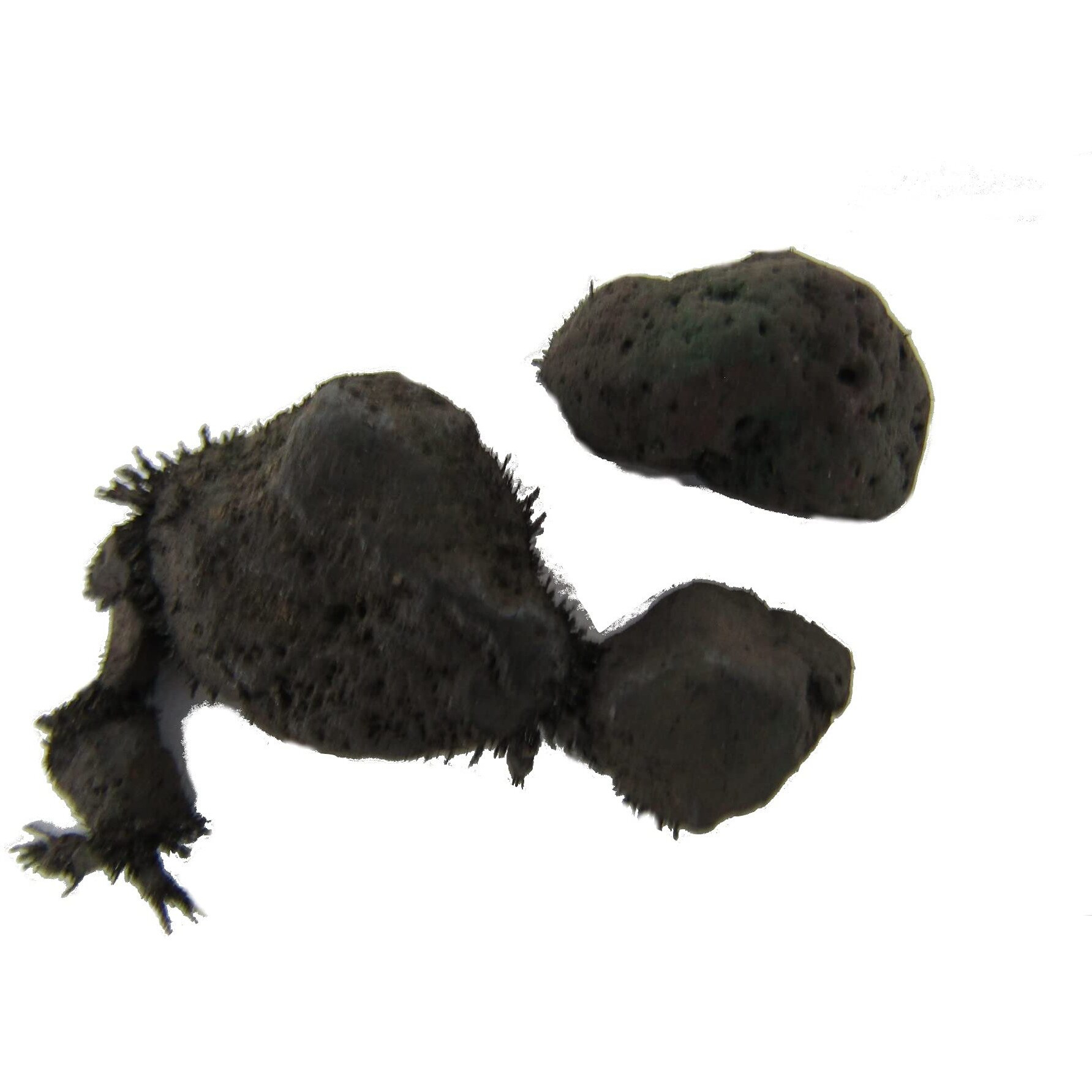 Sage Cauldron Green Lodestone  White