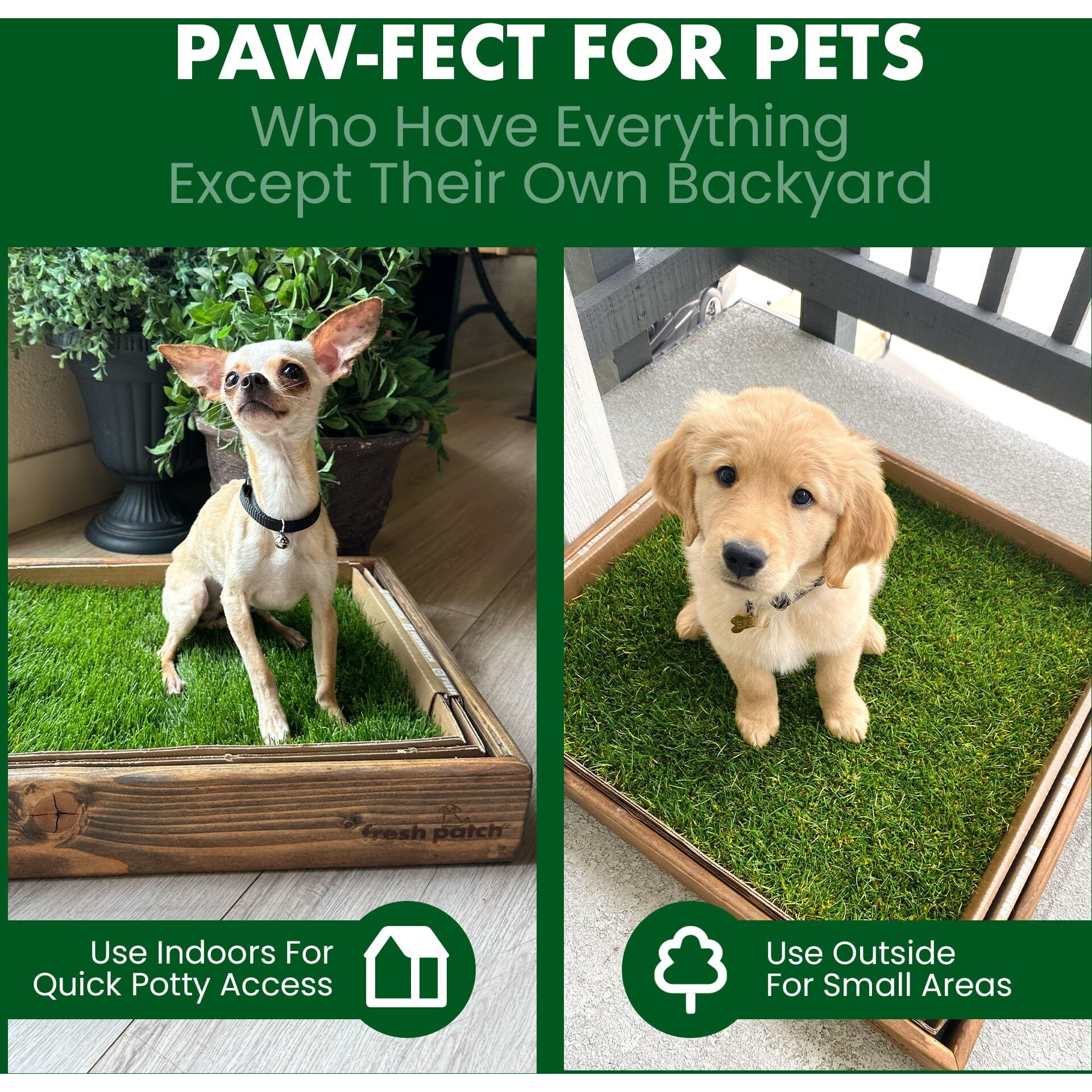 Fresh Patch Real Grass Patch For Dogs  Cats  And Small-Medium Pets Under 15 Pounds - Disposable Pet Grass Pee Pads - Indoor And Outdoor Potty Training Mat (16 Inches X 24 Inches)