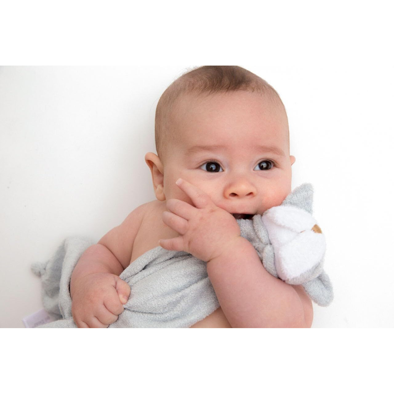 Angel Dear Grey Bulldog Blankie