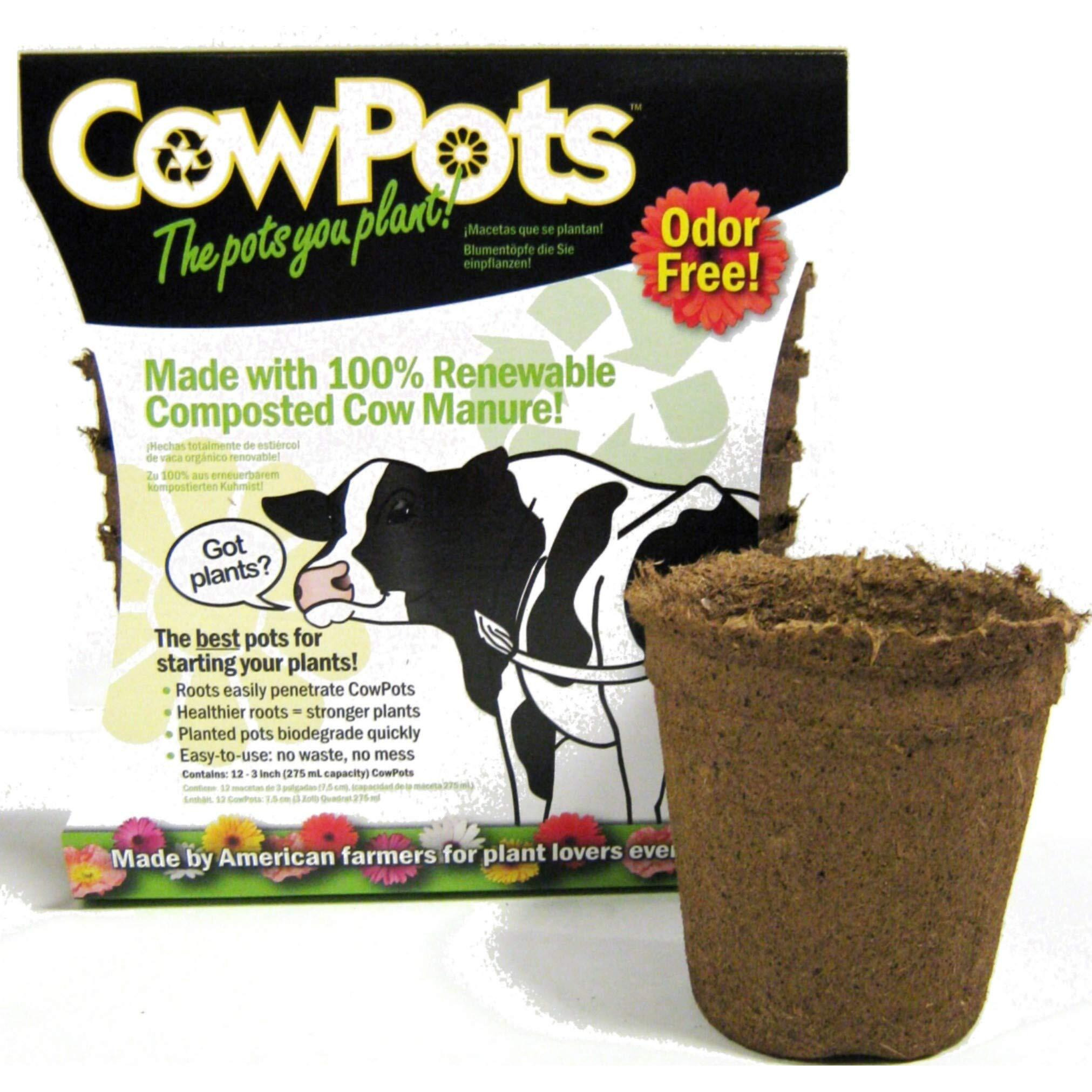 Cowpots Tv208926 3"" Round Cow Pot Planter (12 Pack)  175Ml