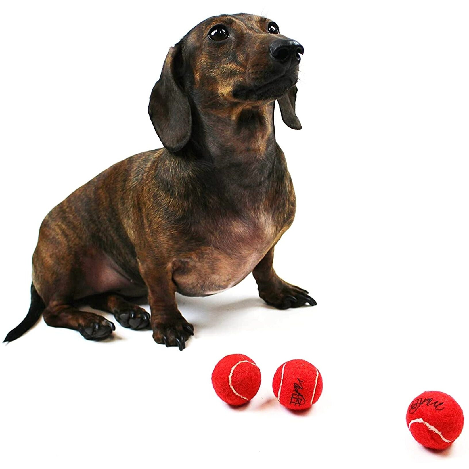 Midlee Mini Dog Tennis Balls  Red  1.5"" 12-Pack- Fetch Ball Laucher Pet Small Tennis Balls