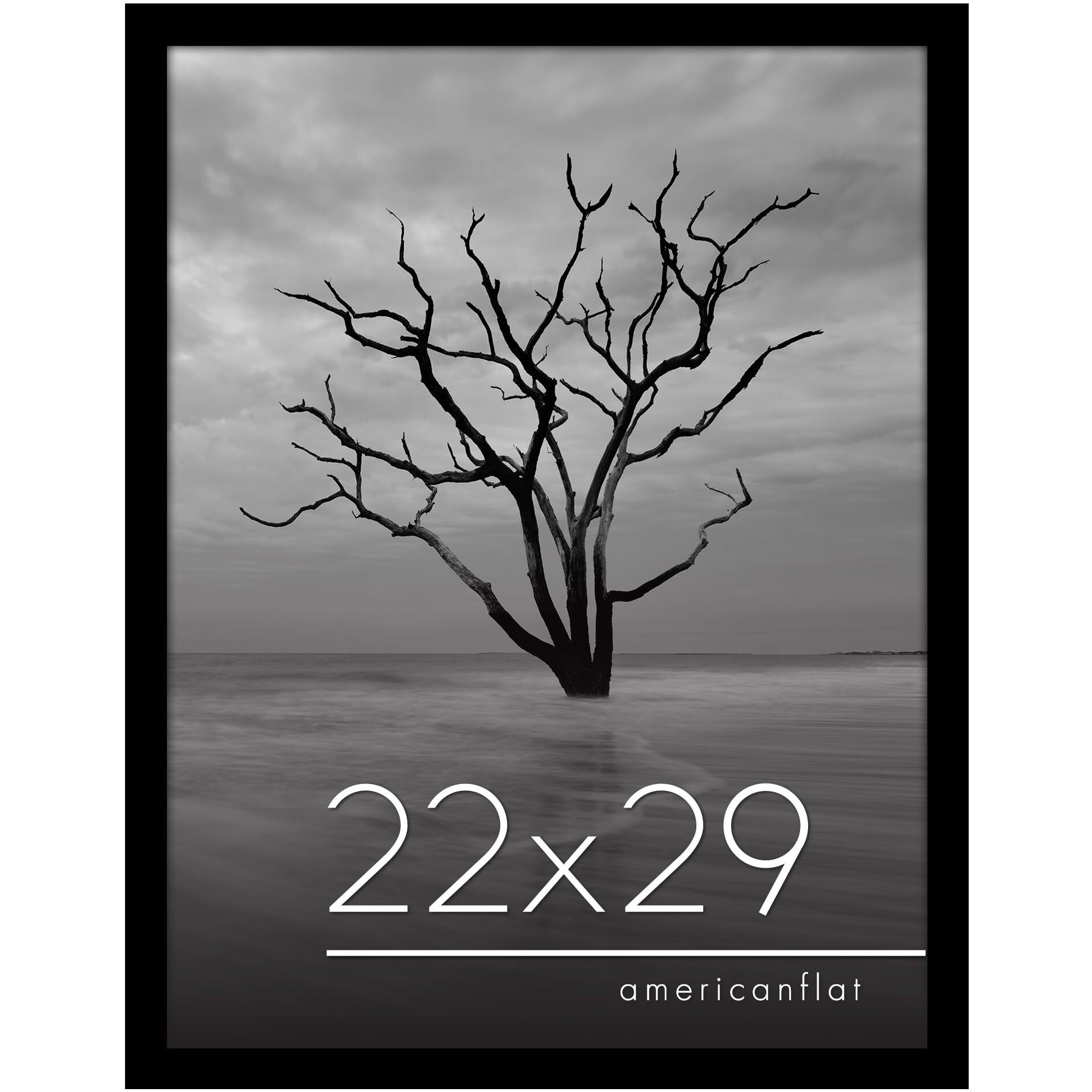 Americanflat 22X29 Poster Frame With Polished Plexiglass - Epic Collection - Gallery Wall Frames With Engineered Wood - Wide Photo Frame For Wall Display - Black