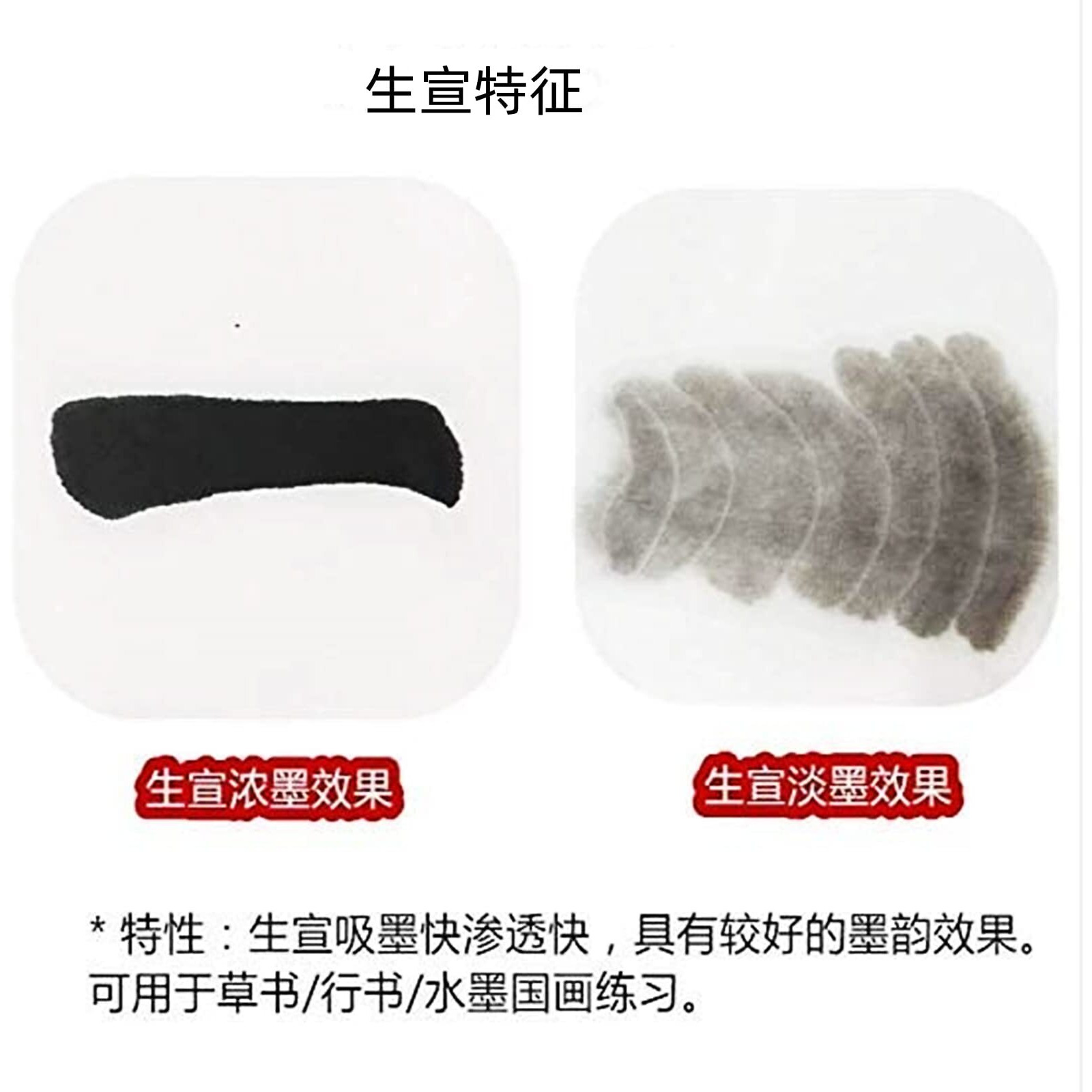 Megrez Chinese Japanese Calligraphy Xuan Paper  Rice Paper Sumi Calligraphy Paper For Calligraphy Brush Ink Writing  Painting Without Grids 100 Sheets/Bag 13.4 X 13.4Inch  Sheng (Raw) Xuan