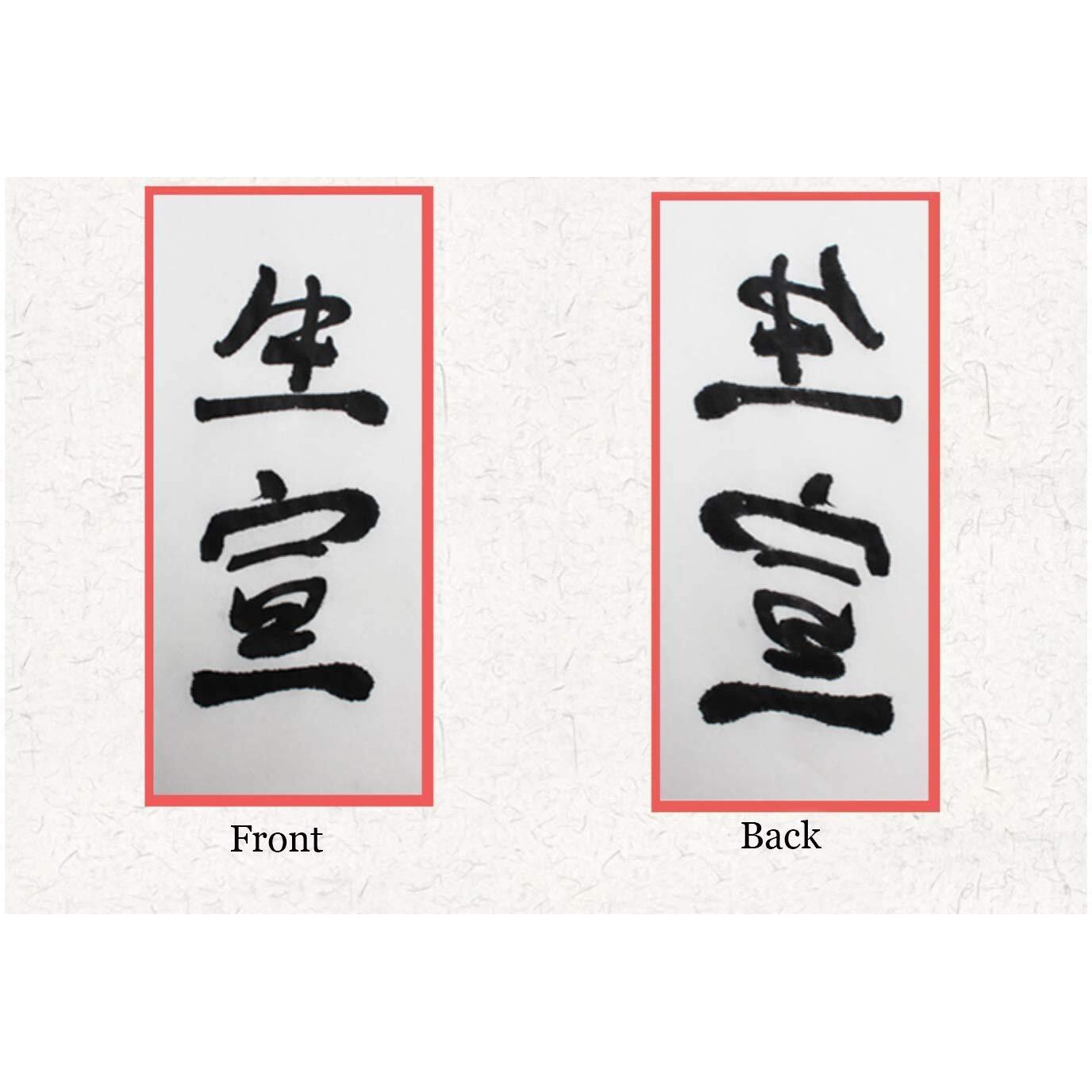 Megrez Chinese Japanese Calligraphy Xuan Paper  Rice Paper Sumi Calligraphy Paper For Calligraphy Brush Ink Writing  Painting Without Grids 100 Sheets/Bag 13.4 X 13.4Inch  Sheng (Raw) Xuan