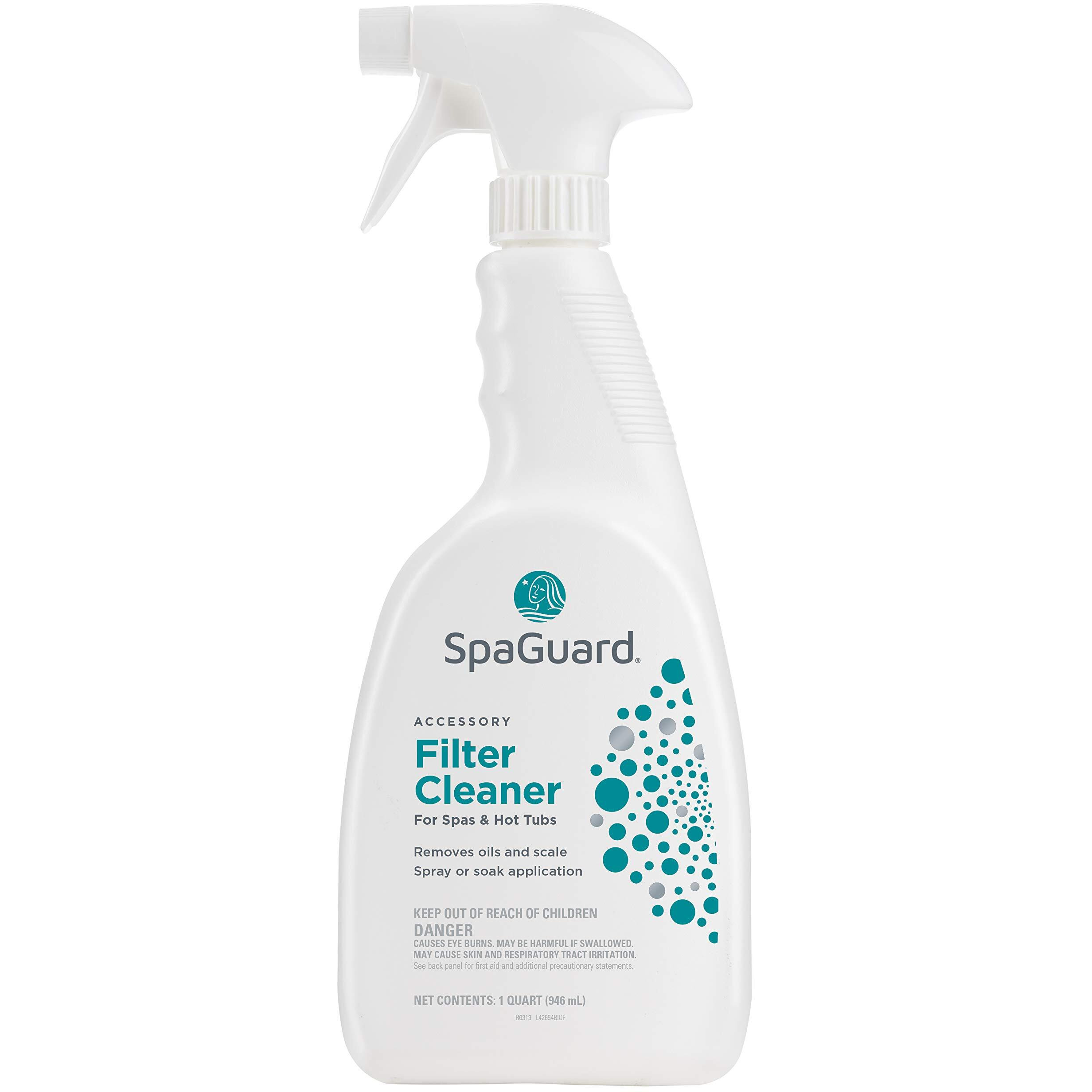 Spaguard Filter Cleaner (1 Qt)