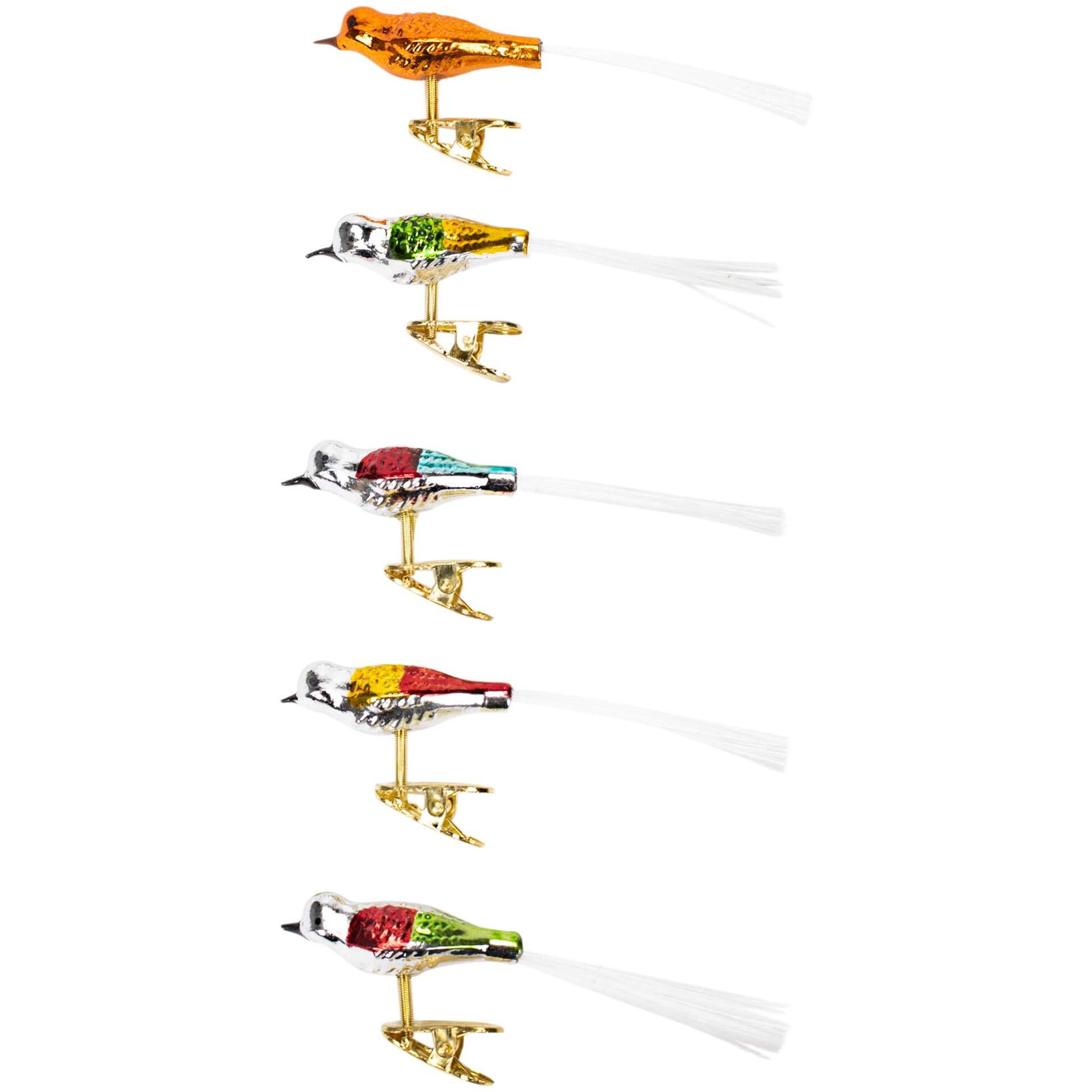 Kurt Adler Early Years Glass Clip-On Bird  4.5-Inch  Set Of 5 Ornaments  5 Count