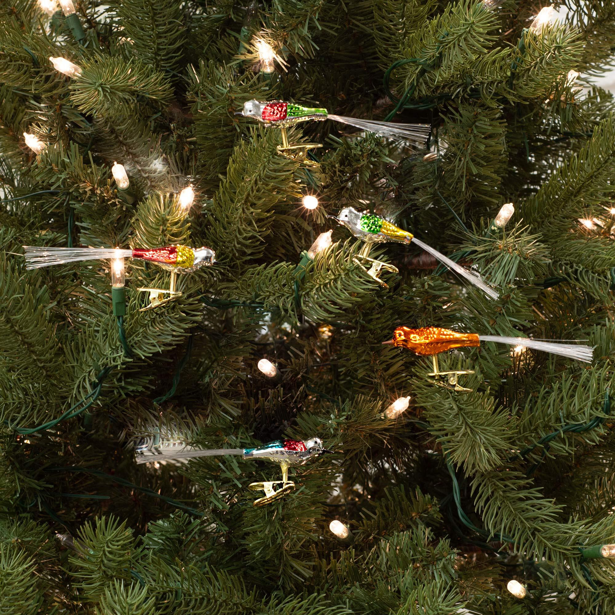 Kurt Adler Early Years Glass Clip-On Bird  4.5-Inch  Set Of 5 Ornaments  5 Count