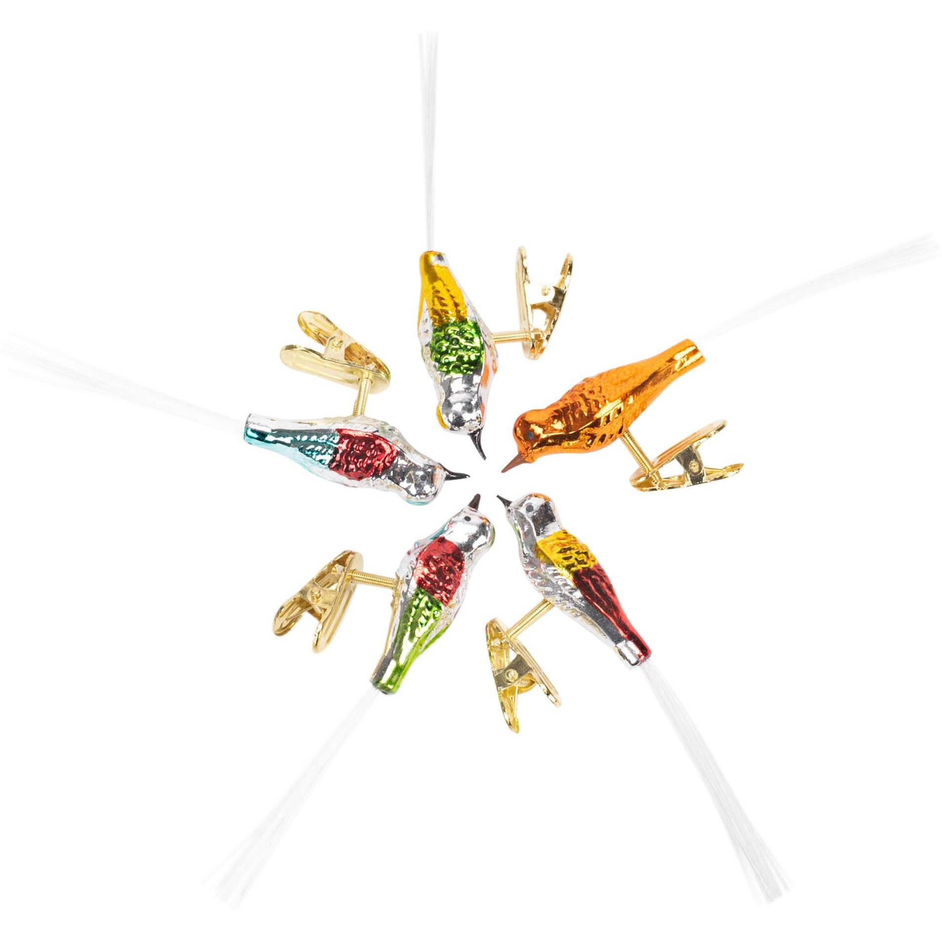 Kurt Adler Early Years Glass Clip-On Bird  4.5-Inch  Set Of 5 Ornaments  5 Count