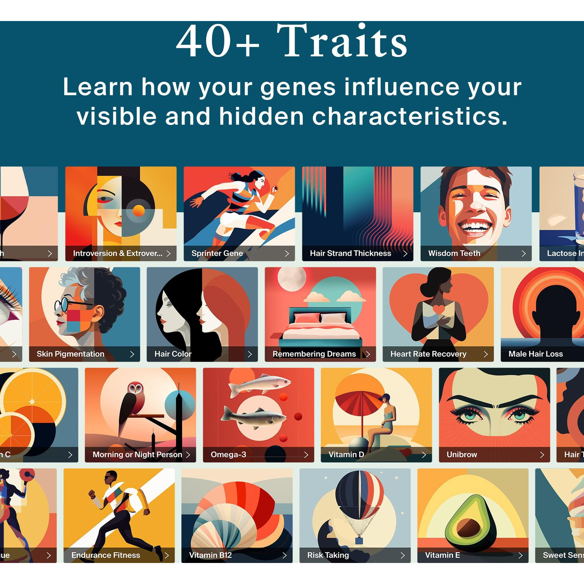 Ancestrydna + Traits Genetic Test Kit Personalized Genetic Traits  Dna Ethnicity Test  Origins & Ethnicities  Complete Dna Test  Ancestry Reports