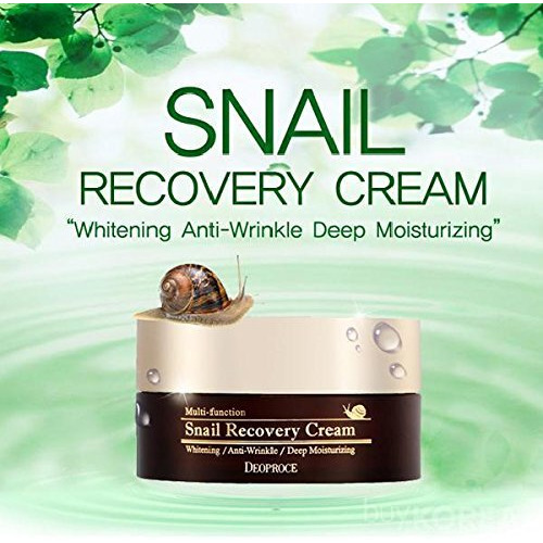 Deoproce Snail Recovery Cream Snail Mucus Effect  Korean Skin Care  Multi Functional Face Snail Mucin Cream  Anti Wrinkle  Deep Moisturizing Korean Day Cream