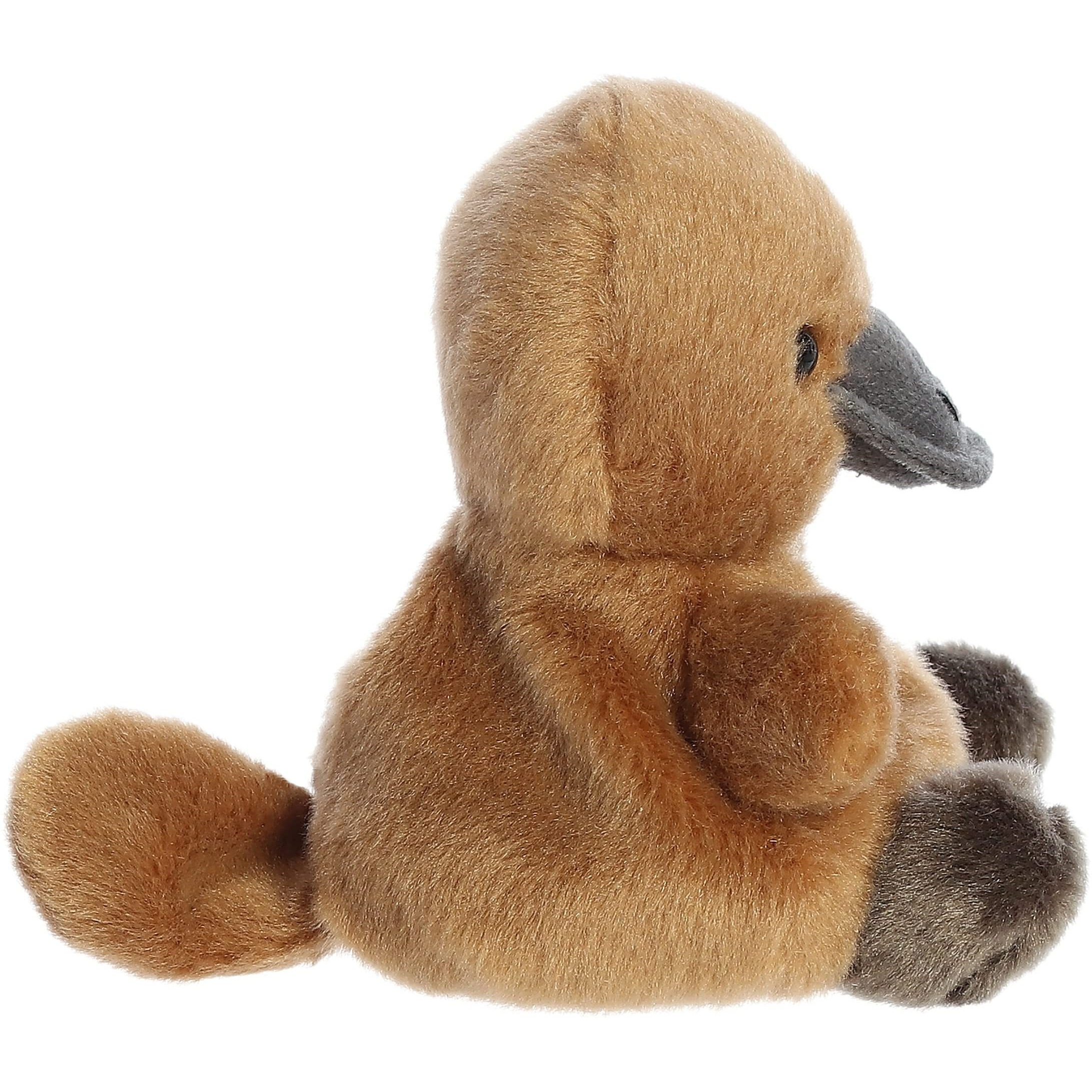 Aurora Adorable Palm Pals Patty Platypus Stuffed Animal - Pocket-Sized Play - Collectable Fun - Brown 5 Inches