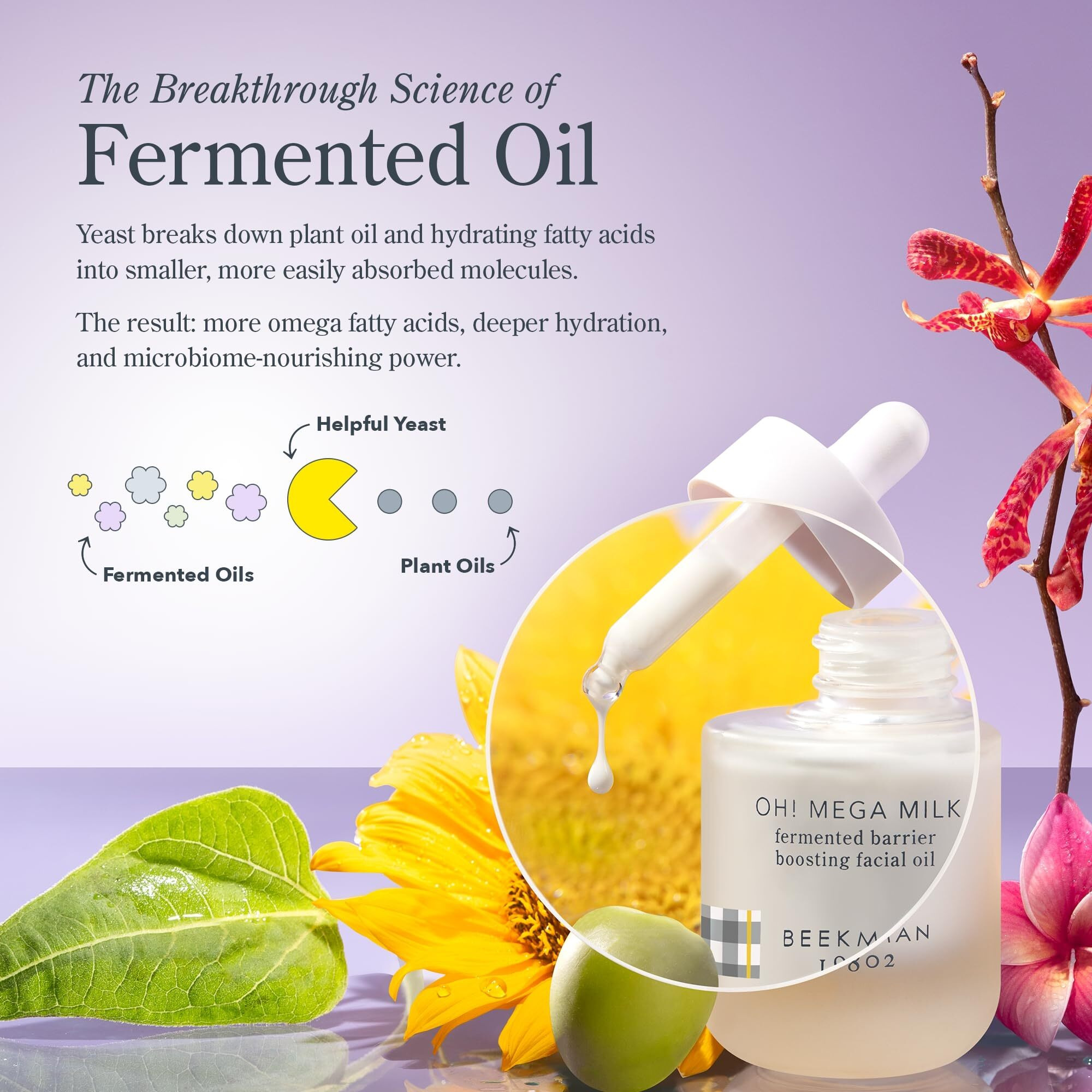 Beekman 1802 Oh Mega Milk Facial Oil - Hydrating Vitamin C & Niacinamide Serum - Repairs Skin Barrier - For Dry/Aging Skin - Fragrance Free  Sensitive Skin Safe