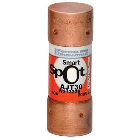 Mersen Ajt30 Fuse  Class J Time Delay  10-Pack  Color  10 Count