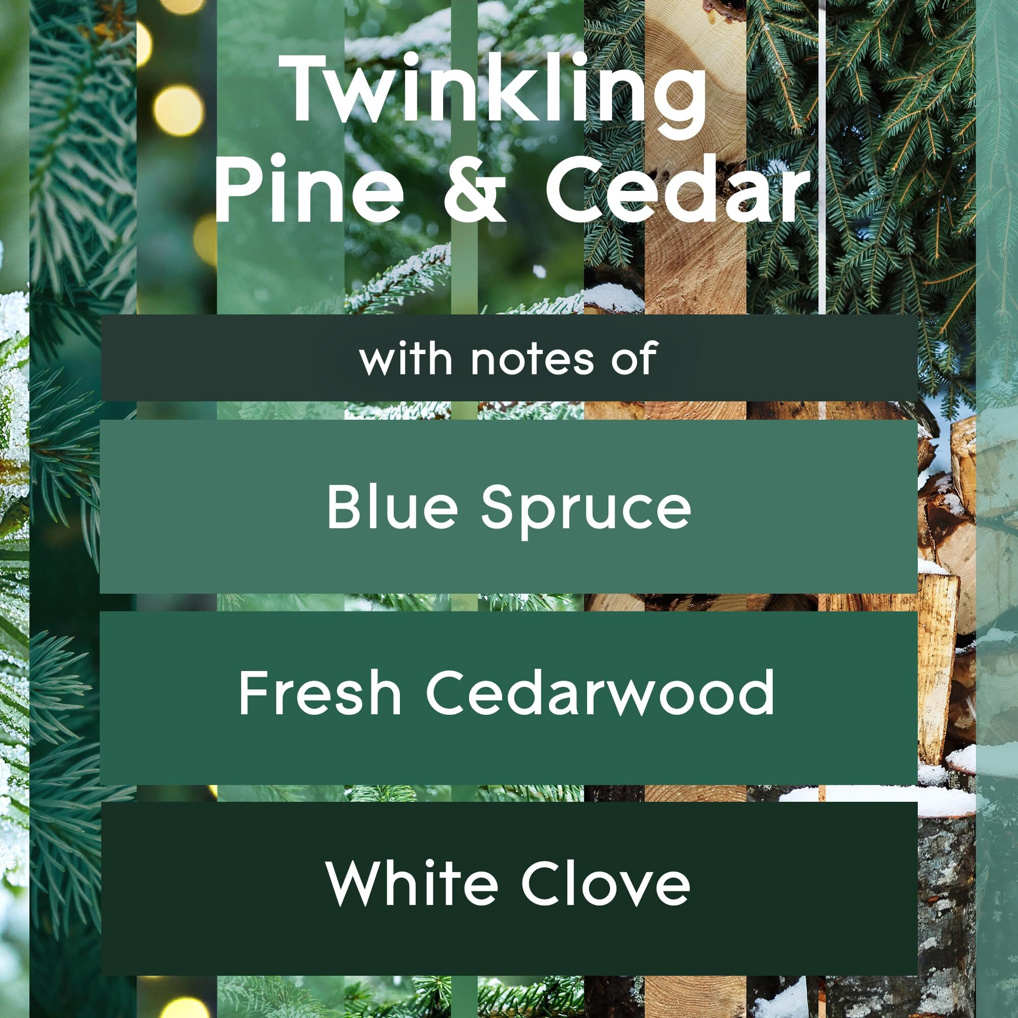 Glade Plugins Refills Air Freshener  Scented And Essential Oils For Home And Bathroom  Twinkling Pine & Cedar  Limited Edition Scent  3.35 Fl Oz  5 Count
