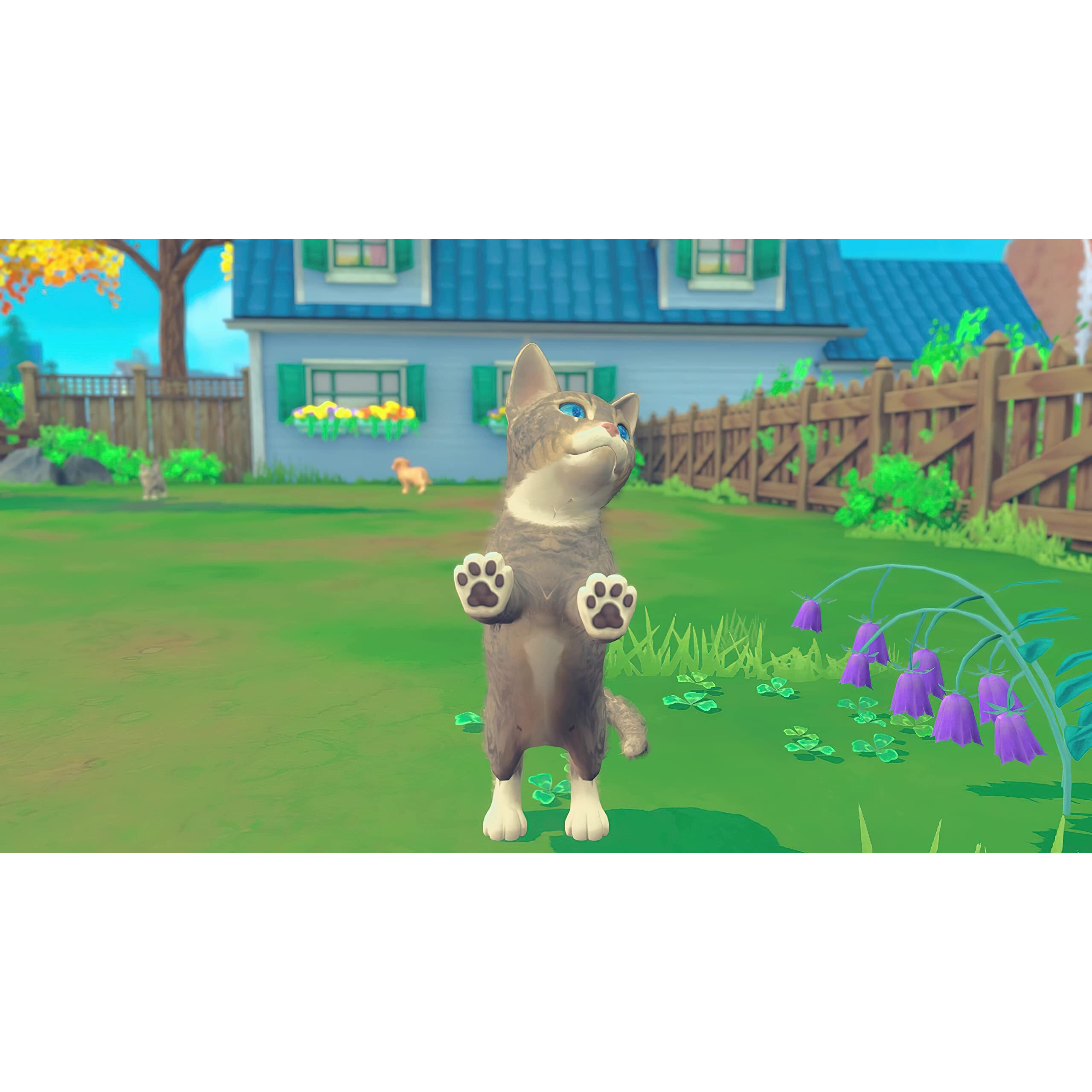 My Universe Pets Edition Nintendo Switch