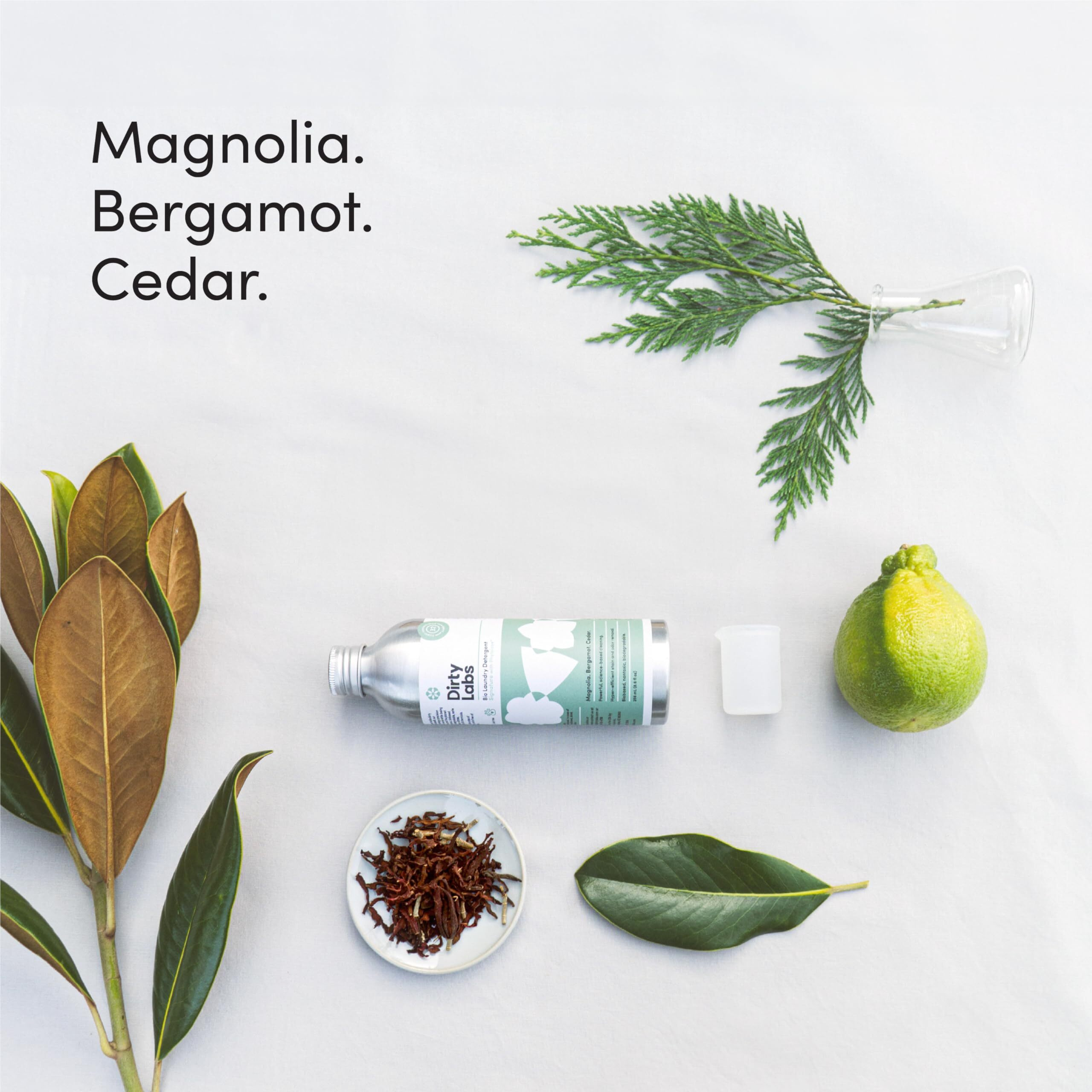 Dirty Labs | Signature Scent | Bio-Liquid Laundry Detergent | 32 Loads (8.6 Fl Oz) | Hyper-Concentrated | High Efficiency & Standard Machine Washing | Nontoxic  Biodegradable | Stain & Odor Removal