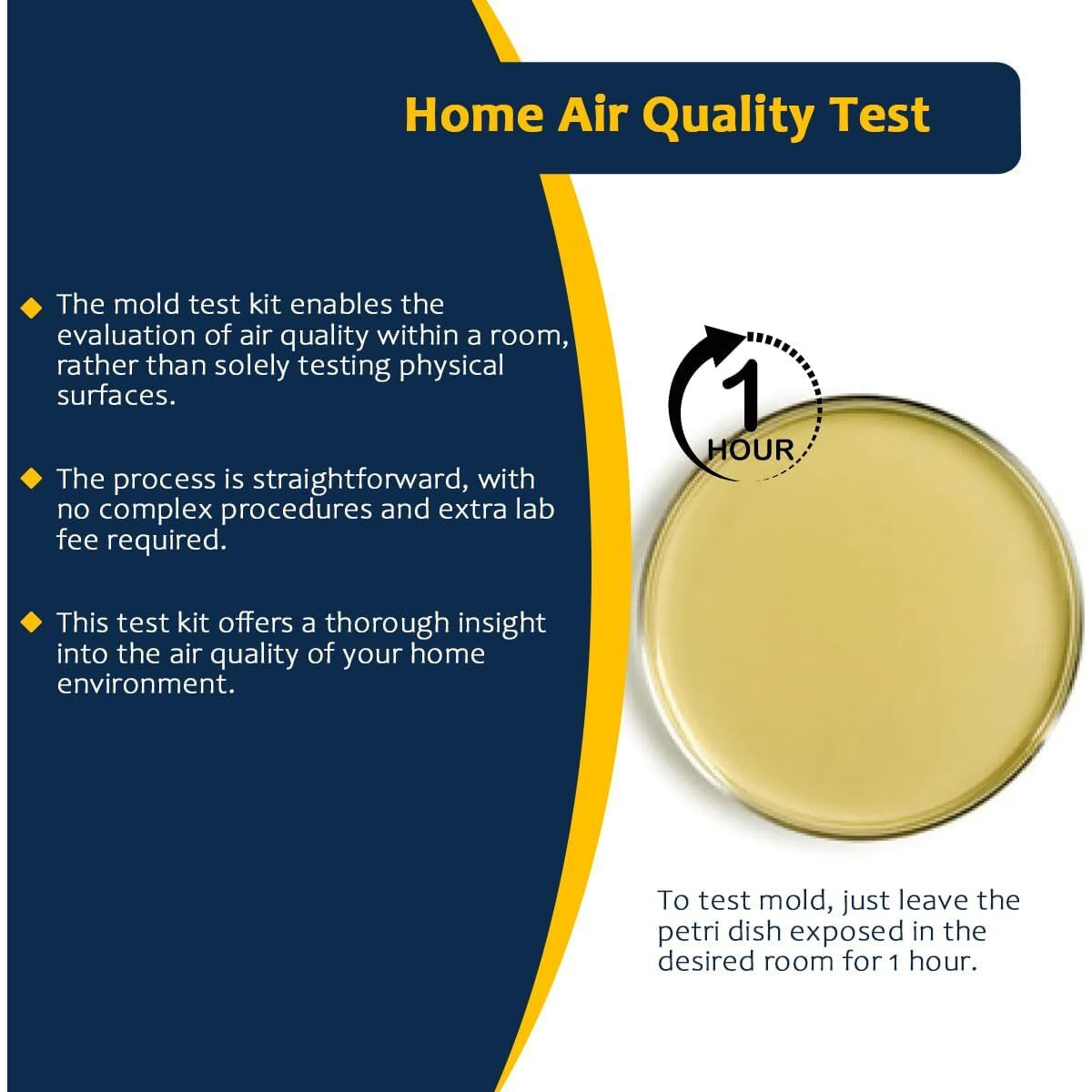 Mold Testing Kit With 5 Individual Tests - Diy Mold Test Kit For Home - Includes Detailed Mold Identification Guide - Fast And Reliable Mold Detector For Home